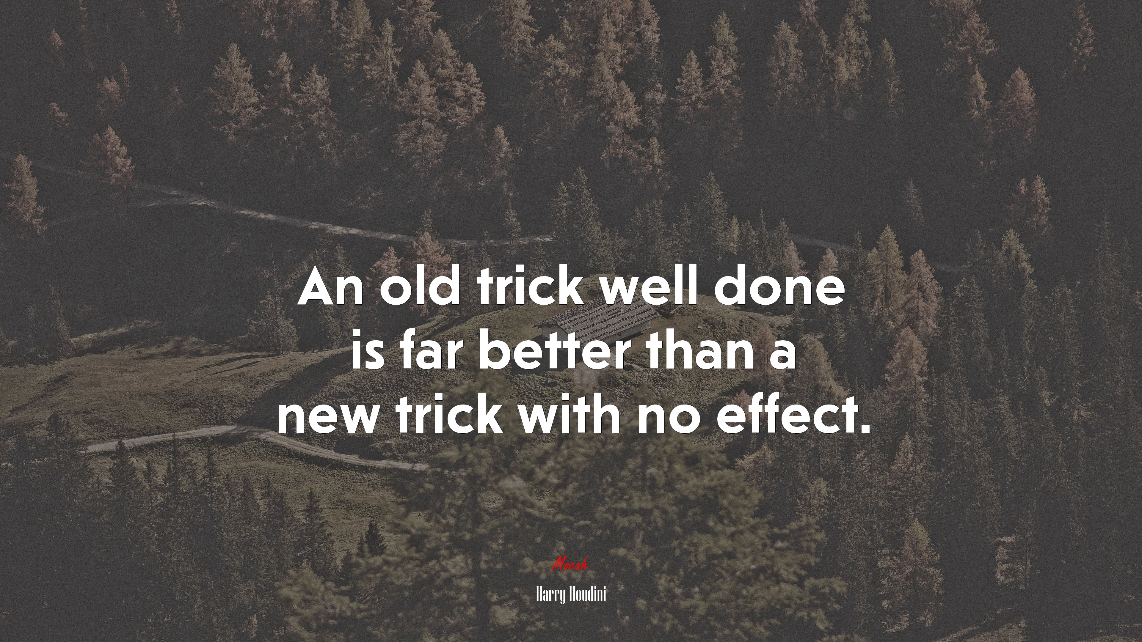 An old trick well done is far better than a new trick with no effect. | Harry Houdini quote HD Wallpaper