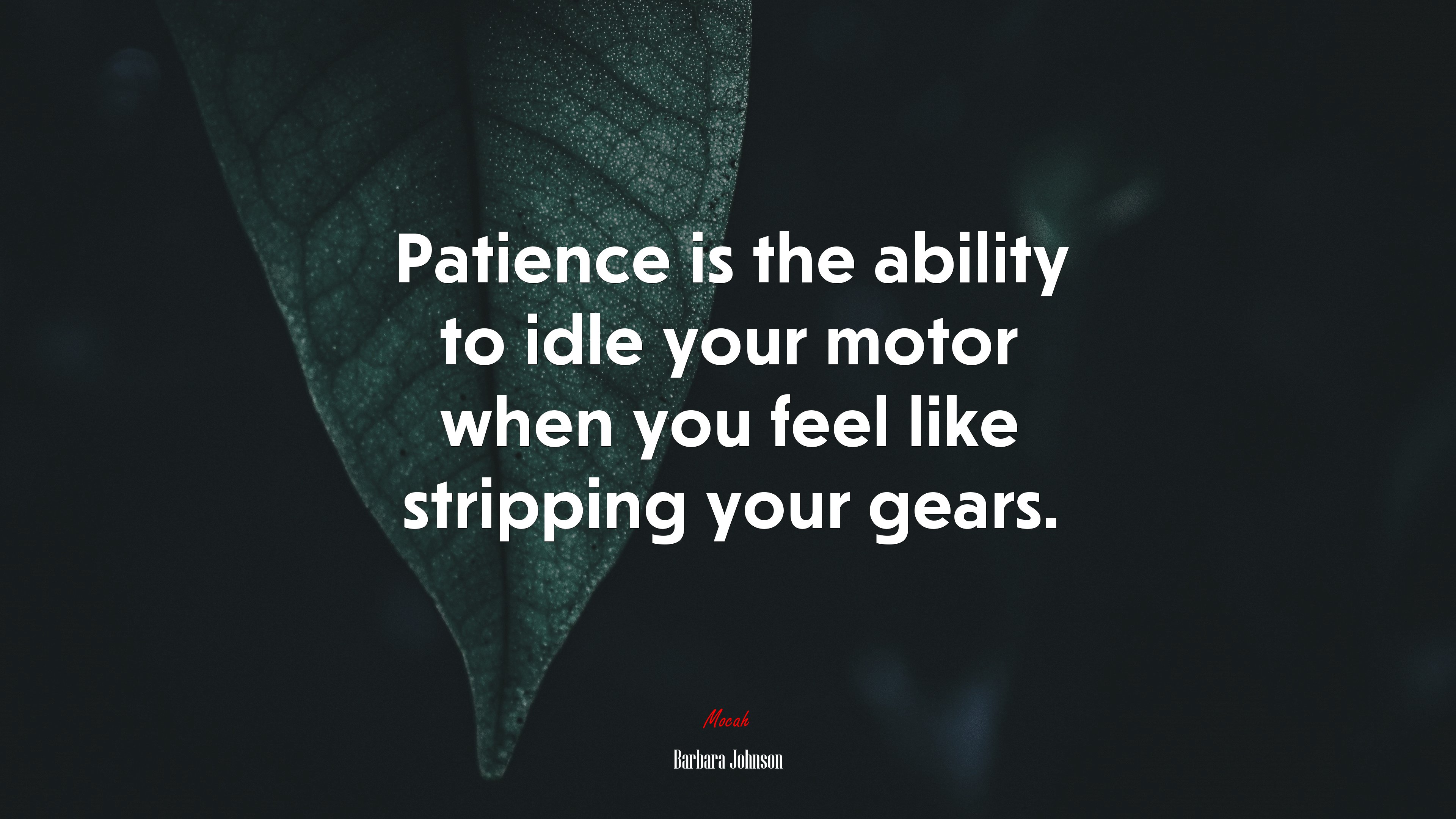 Patience is the ability to idle your motor when you feel like stripping your gears. | Barbara Johnson quote HD Wallpaper