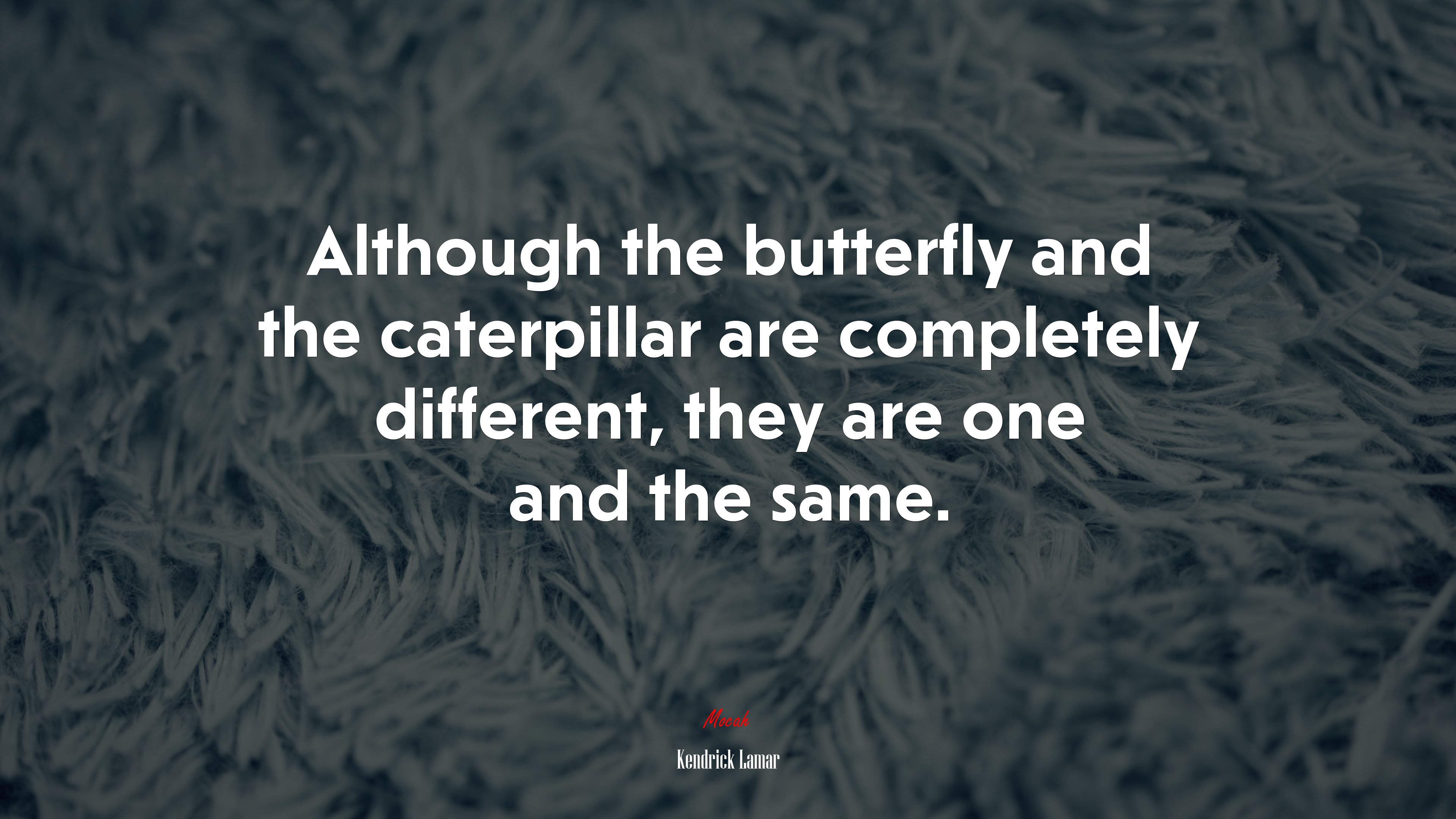 Although the butterfly and the caterpillar are completely different, they are one and the same. | Kendrick Lamar quote HD Wallpaper