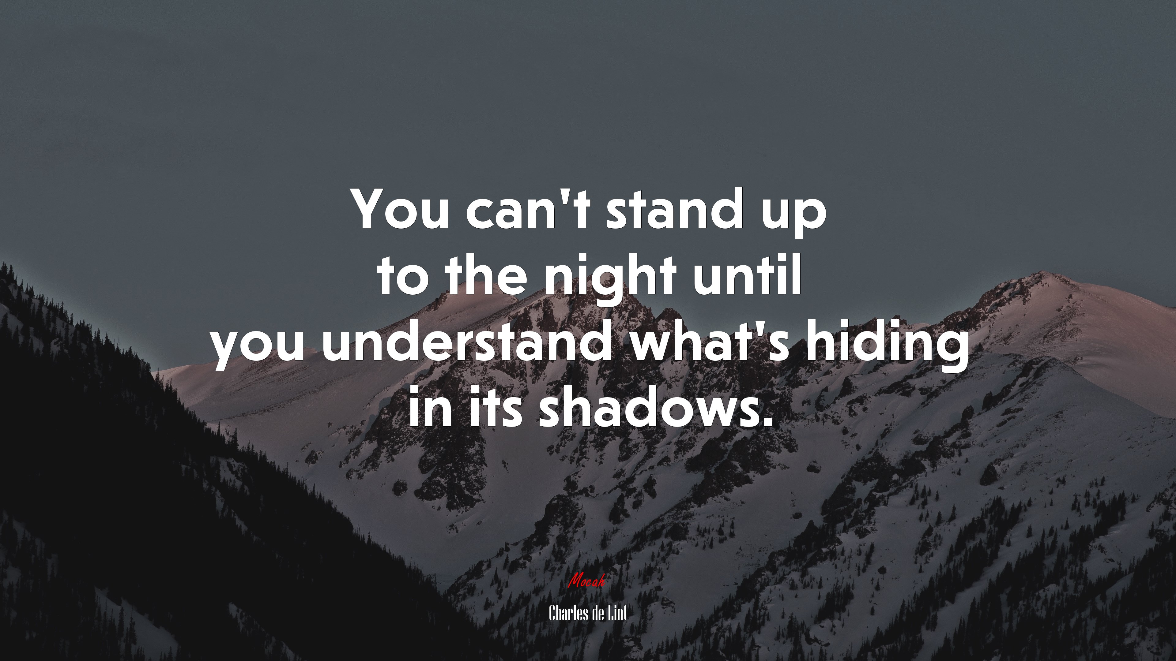 You can’t stand up to the night until you understand what’s hiding in its shadows. | Charles de Lint quote HD Wallpaper