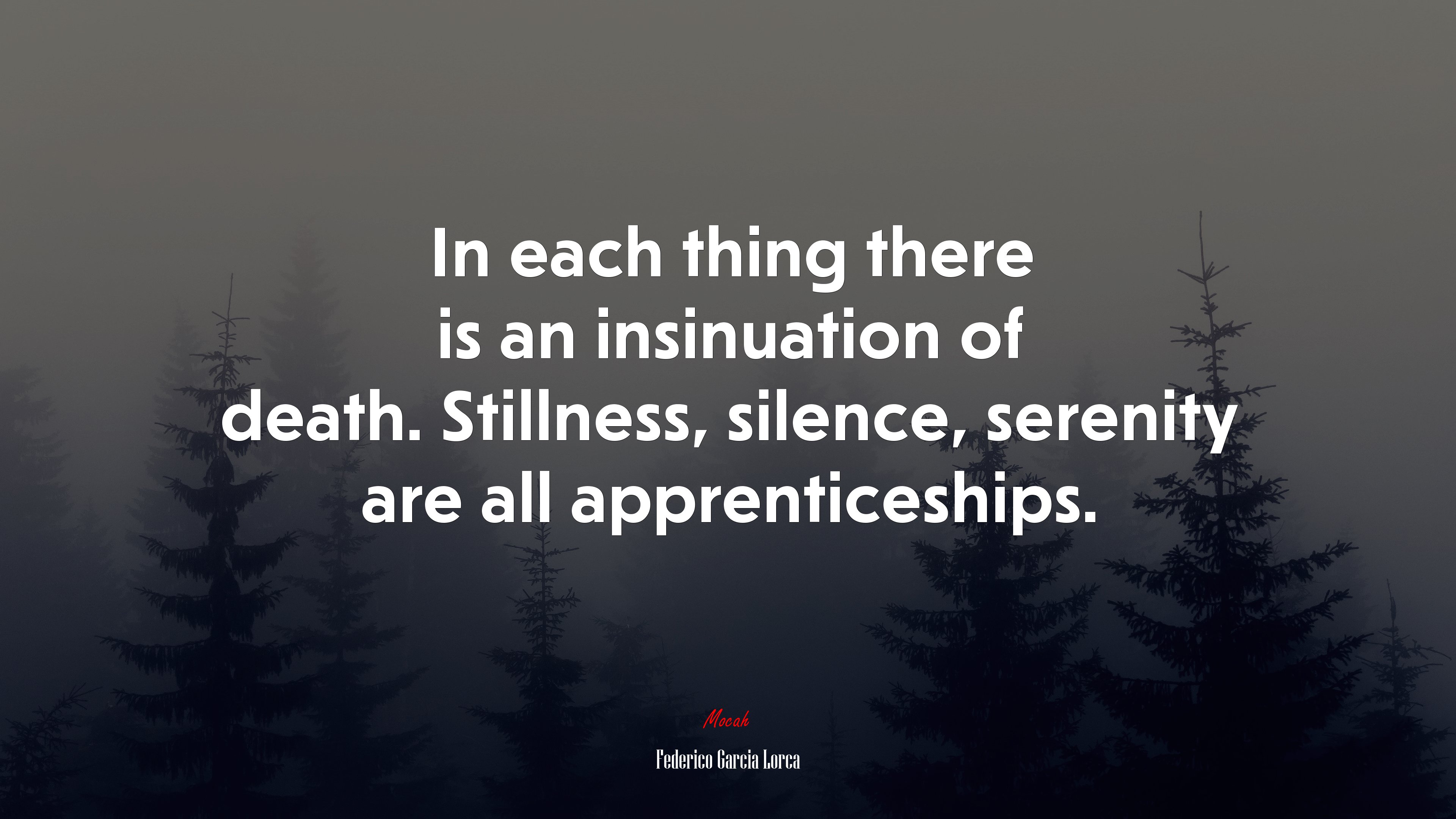 In each thing there is an insinuation of death. Stillness, silence, serenity are all apprenticeships. | Federico García Lorca quote HD Wallpaper