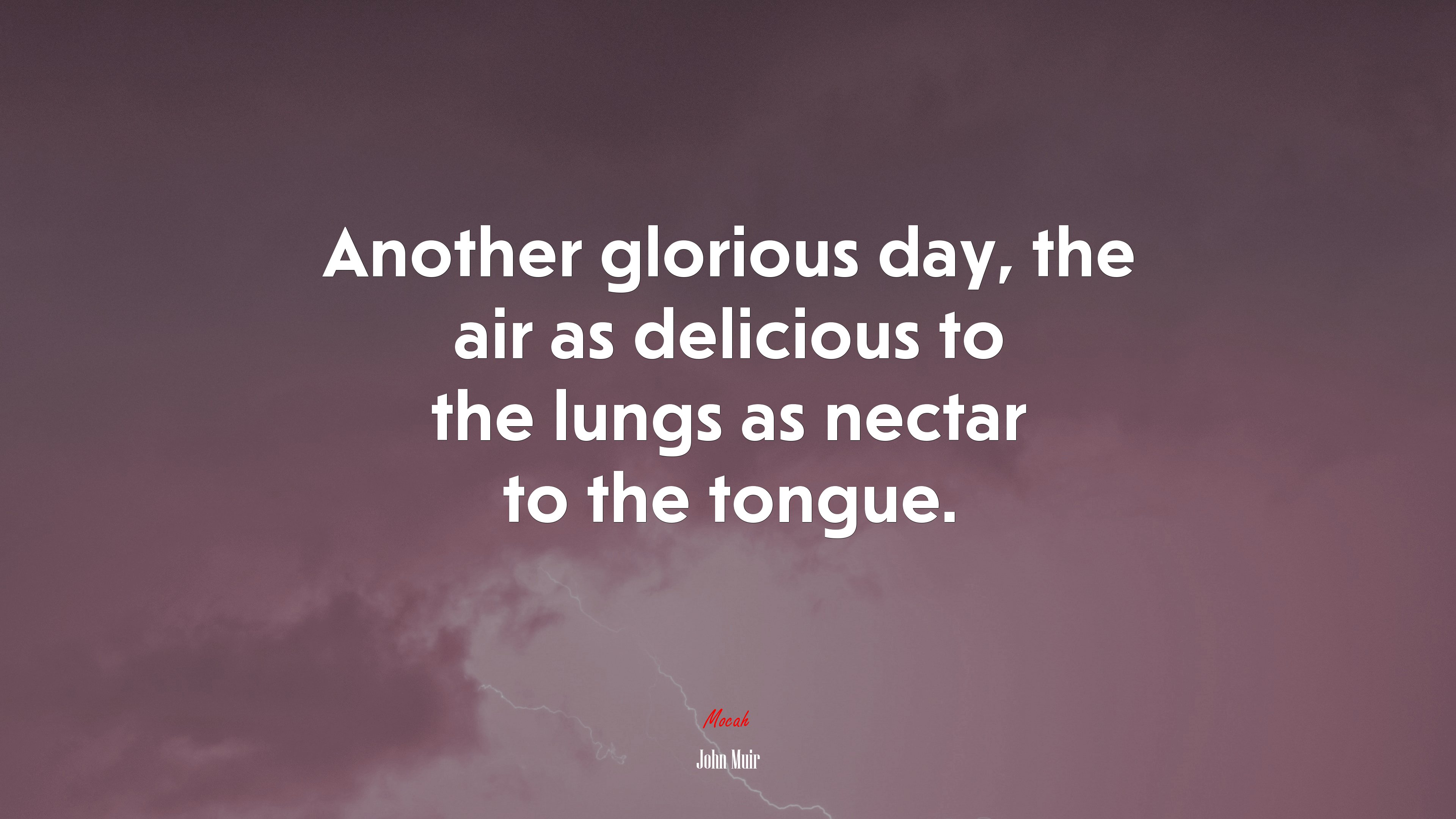 Another glorious day, the air as delicious to the lungs as nectar to the tongue. | John Muir quote HD Wallpaper