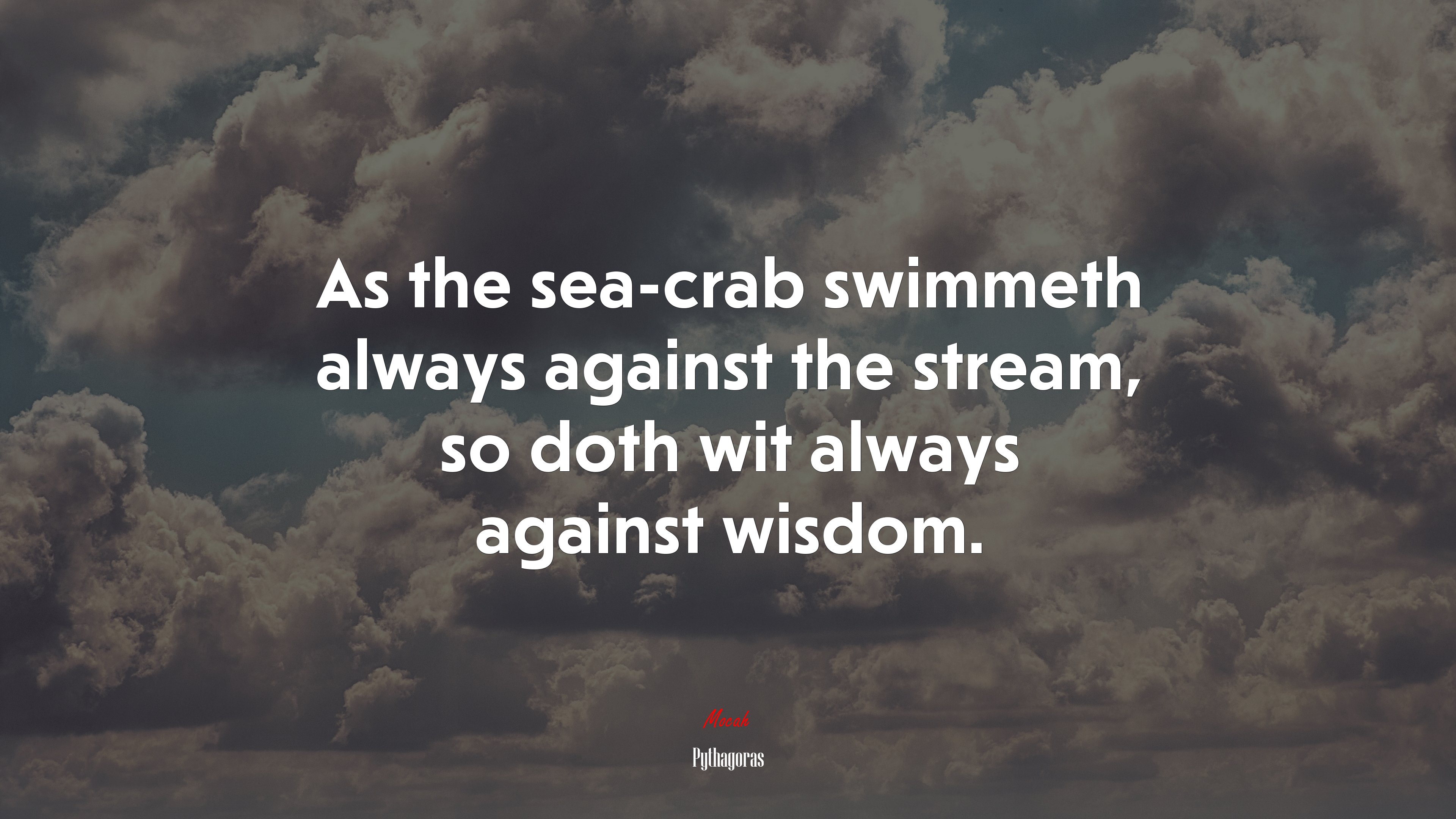As the sea-crab swimmeth always against the stream, so doth wit always against wisdom. | Pythagoras quote HD Wallpaper