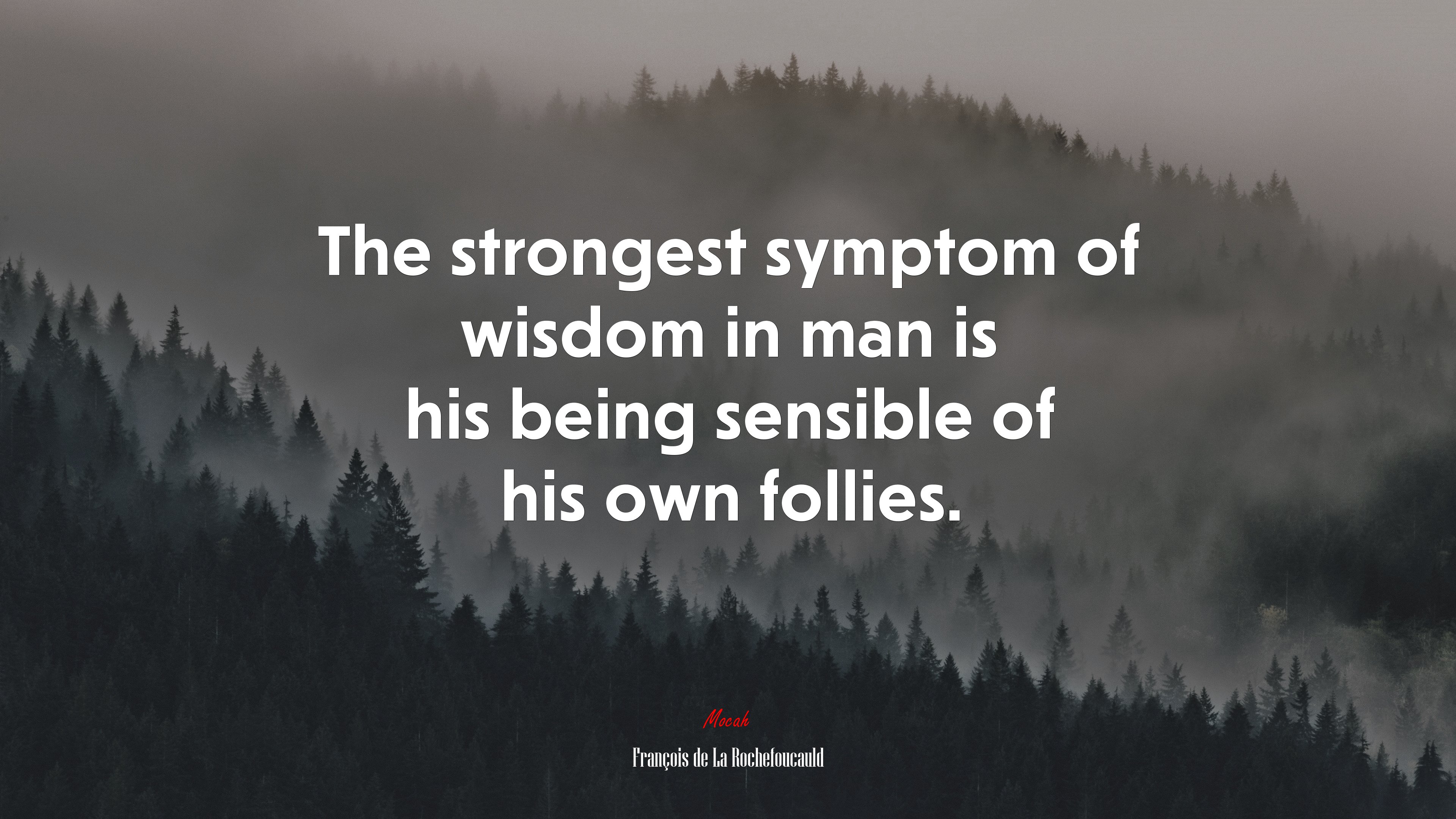 The strongest symptom of wisdom in man is his being sensible of his own follies. | François de La Rochefoucauld quote HD Wallpaper