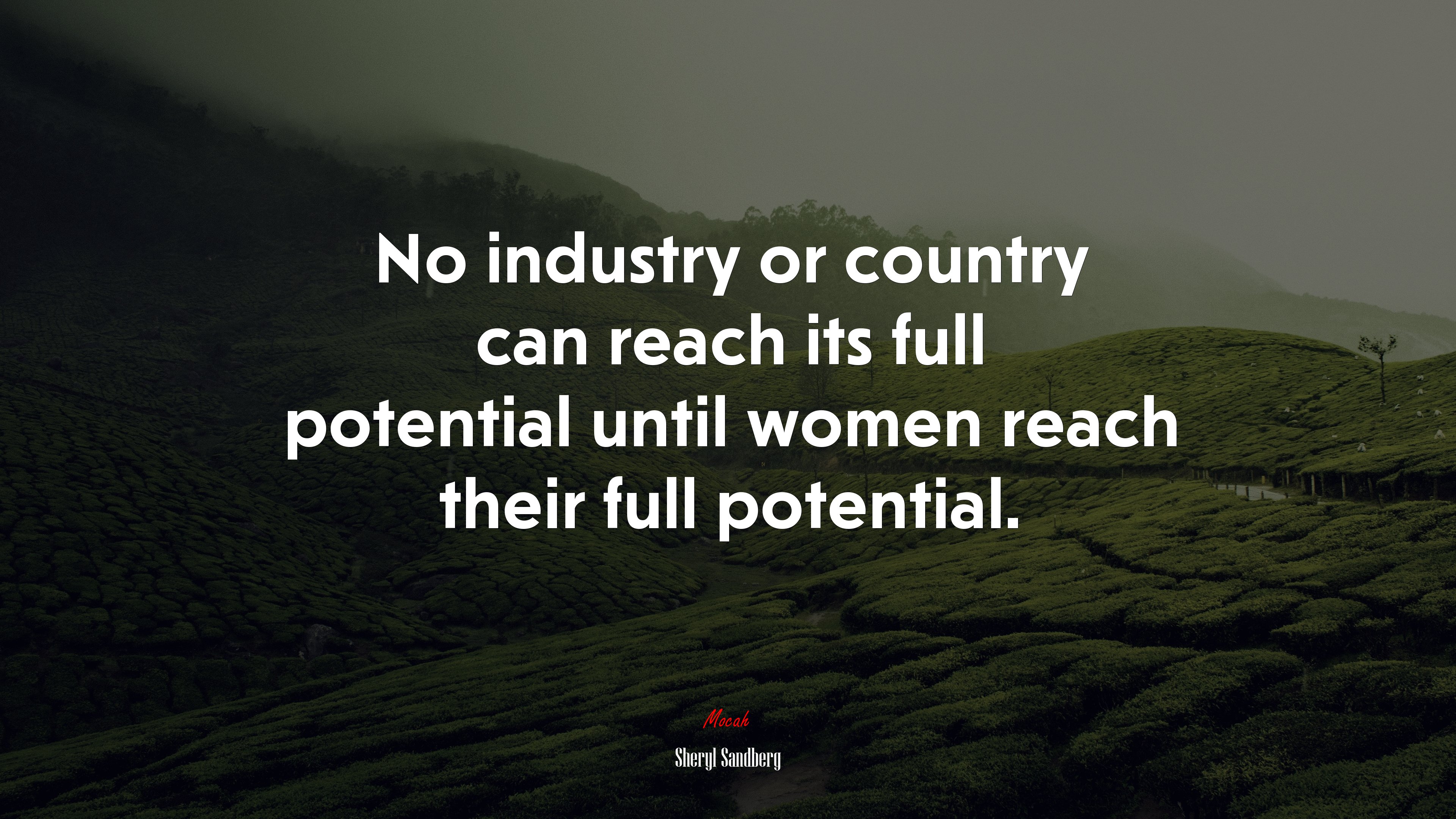No industry or country can reach its full potential until women reach their full potential. | Sheryl Sandberg quote HD Wallpaper