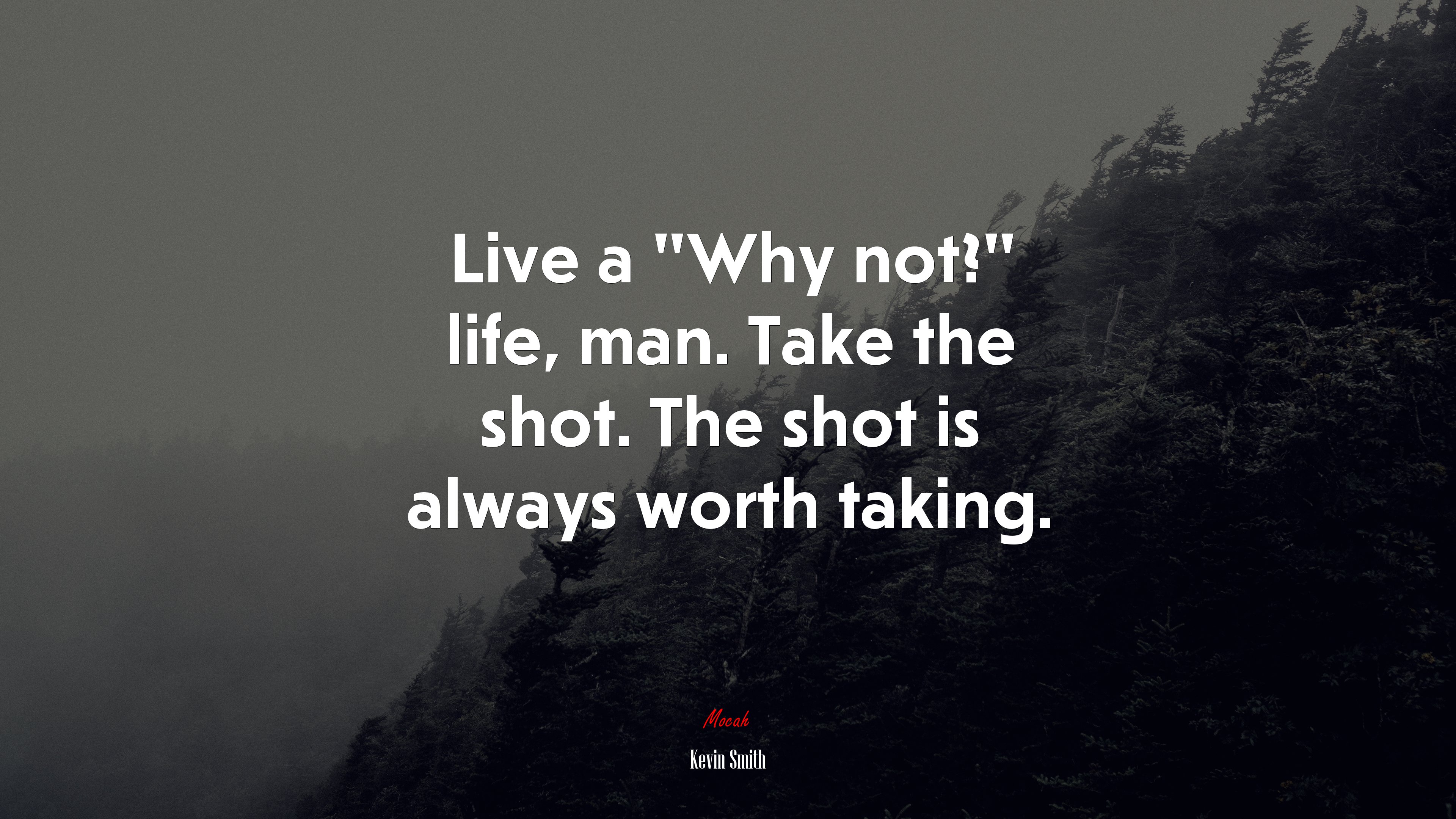 Live a “Why not?” life, man. Take the shot. The shot is always worth taking. | Kevin Smith quote HD Wallpaper