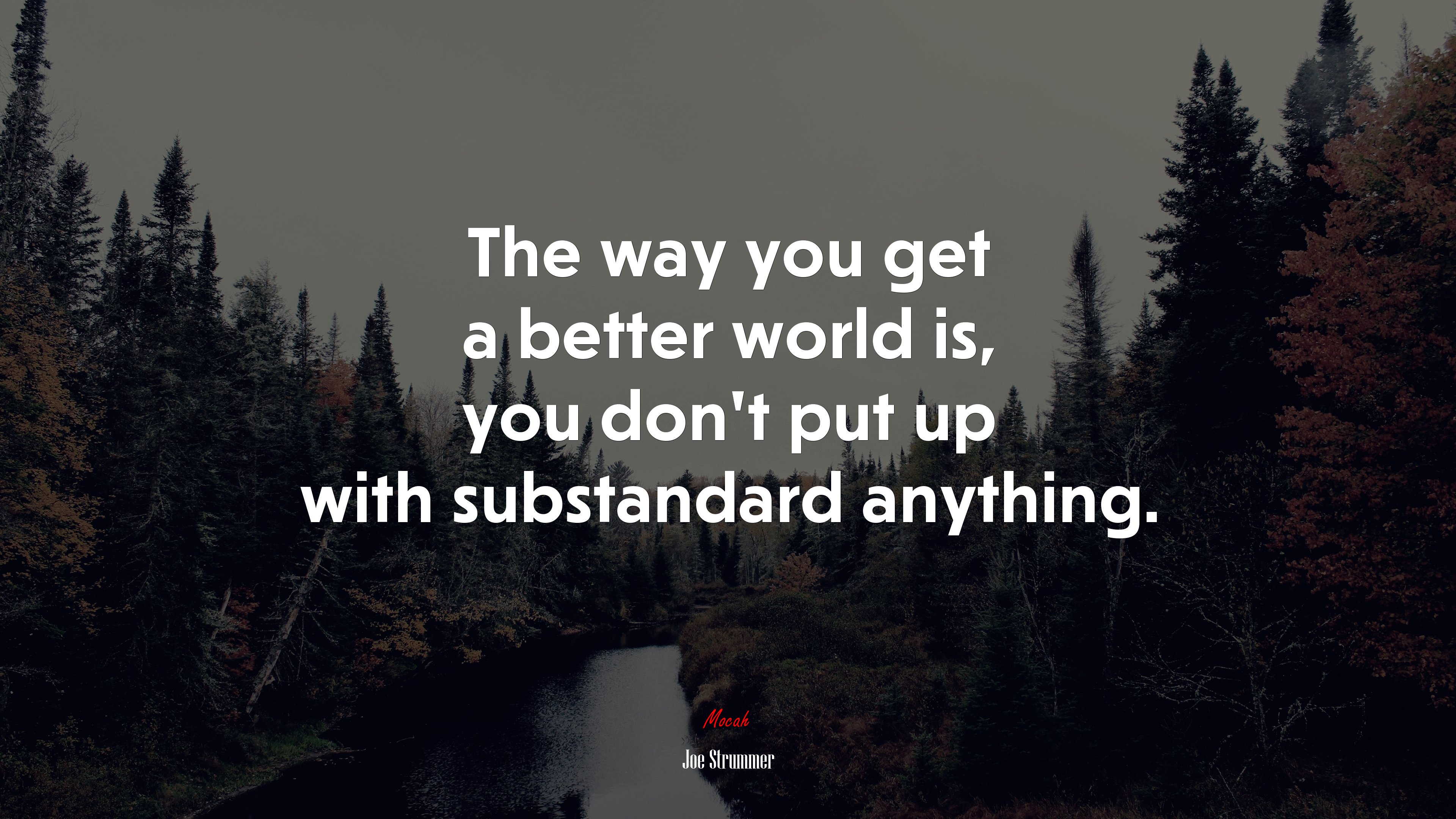 The way you get a better world is, you don’t put up with substandard anything. | Joe Strummer quote HD Wallpaper