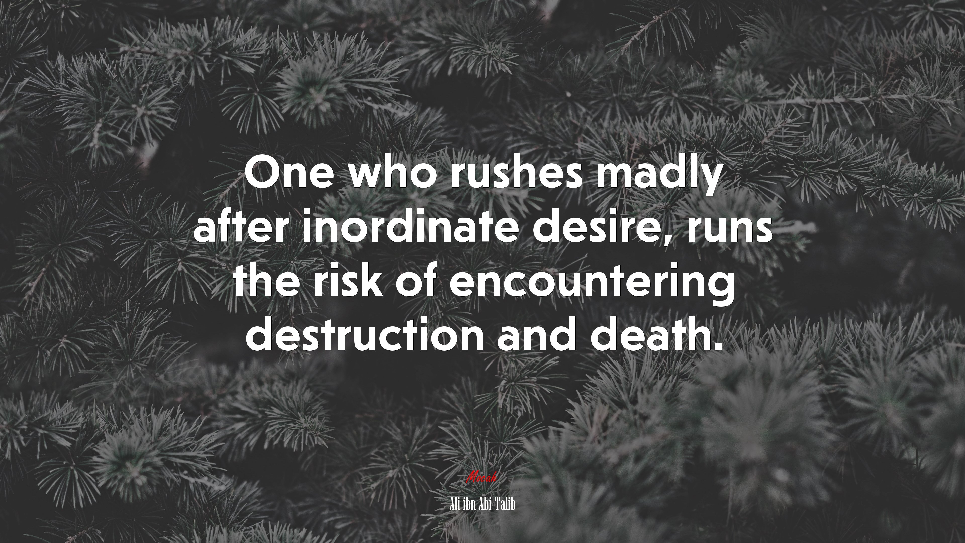 One who rushes madly after inordinate desire, runs the risk of encountering destruction and death. | Ali ibn Abi Talib quote HD Wallpaper