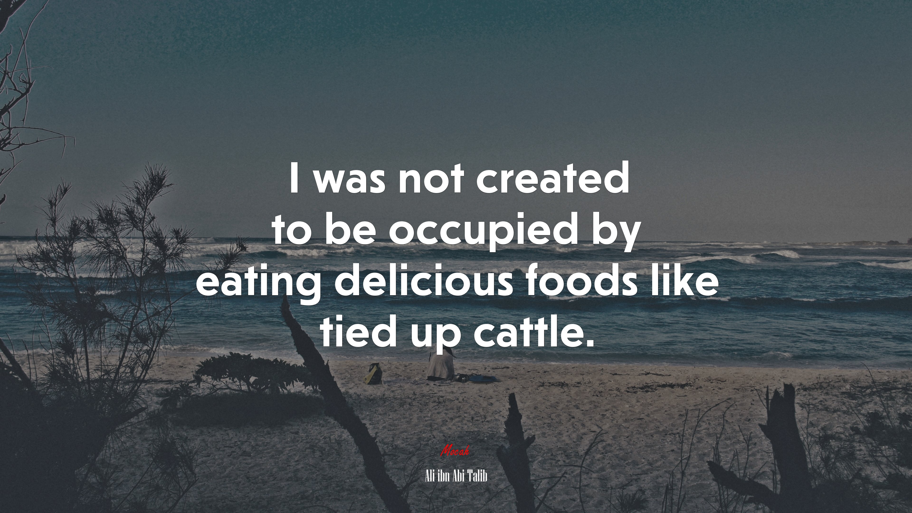 I was not created to be occupied by eating delicious foods like tied up cattle. | Ali ibn Abi Talib quote HD Wallpaper