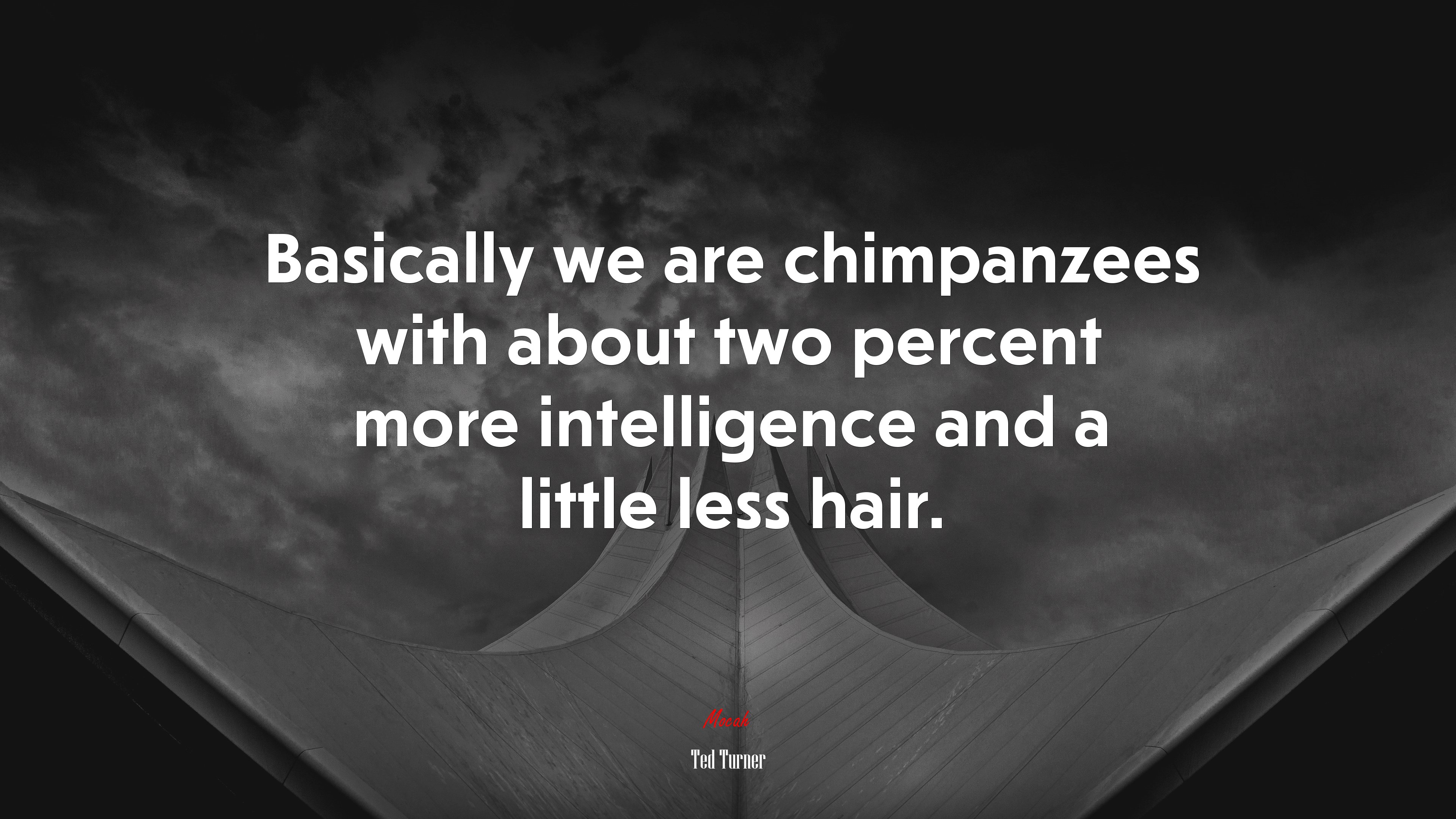Basically we are chimpanzees with about two percent more intelligence and a little less hair. | Ted Turner quote HD Wallpaper