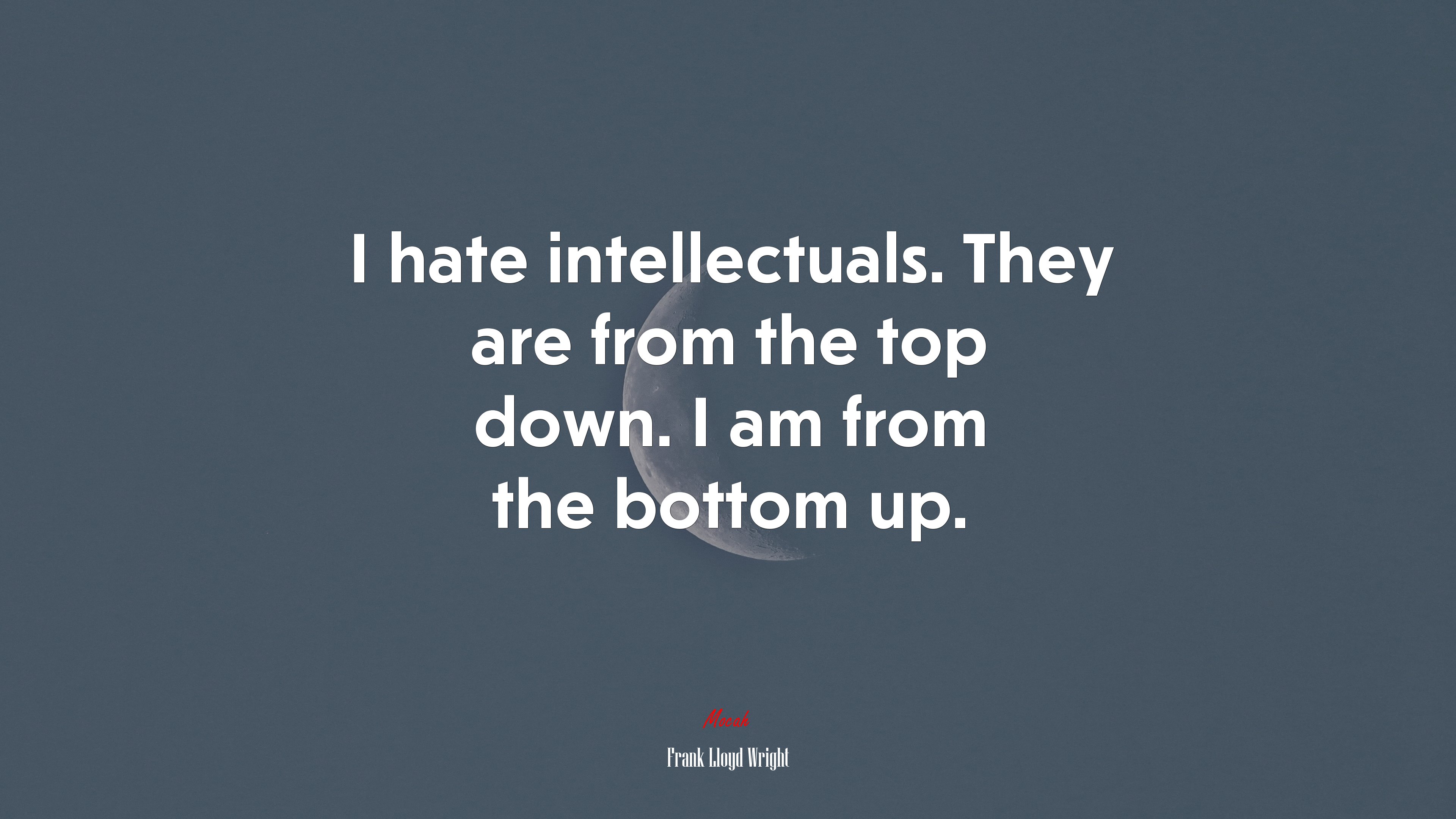 I hate intellectuals. They are from the top down. I am from the bottom up. | Frank Lloyd Wright quote HD Wallpaper