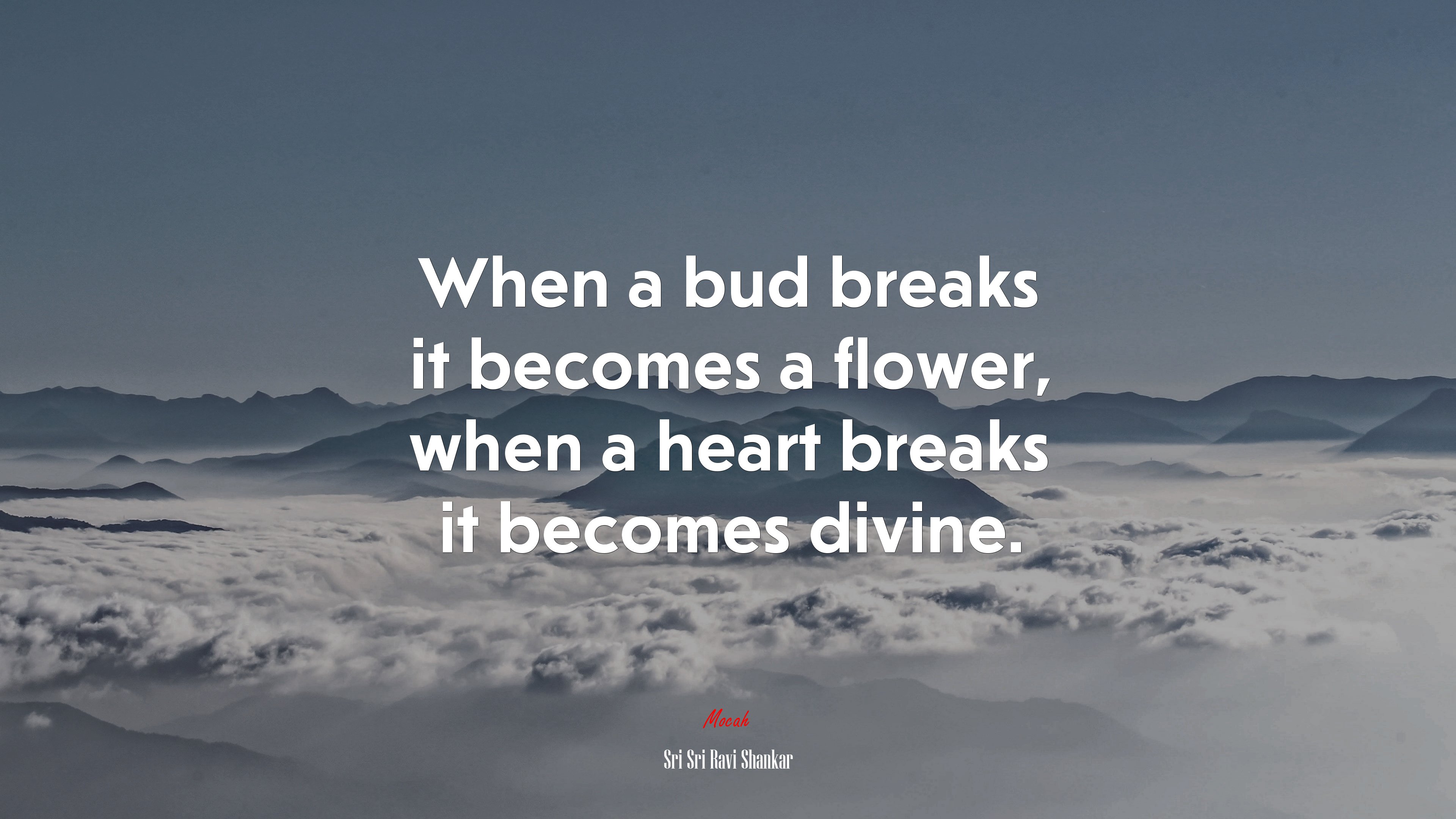 When a bud breaks it becomes a flower, when a heart breaks it becomes divine. | Sri Sri Ravi Shankar quote HD Wallpaper