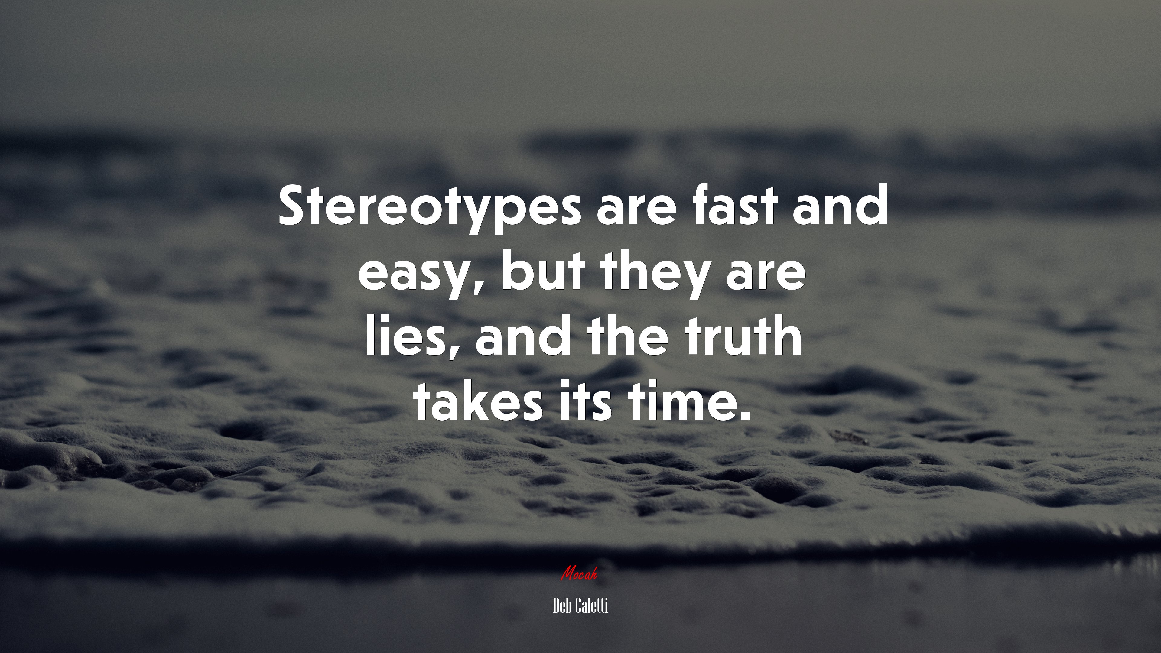 Stereotypes are fast and easy, but they are lies, and the truth takes its time. | Deb Caletti quote HD Wallpaper