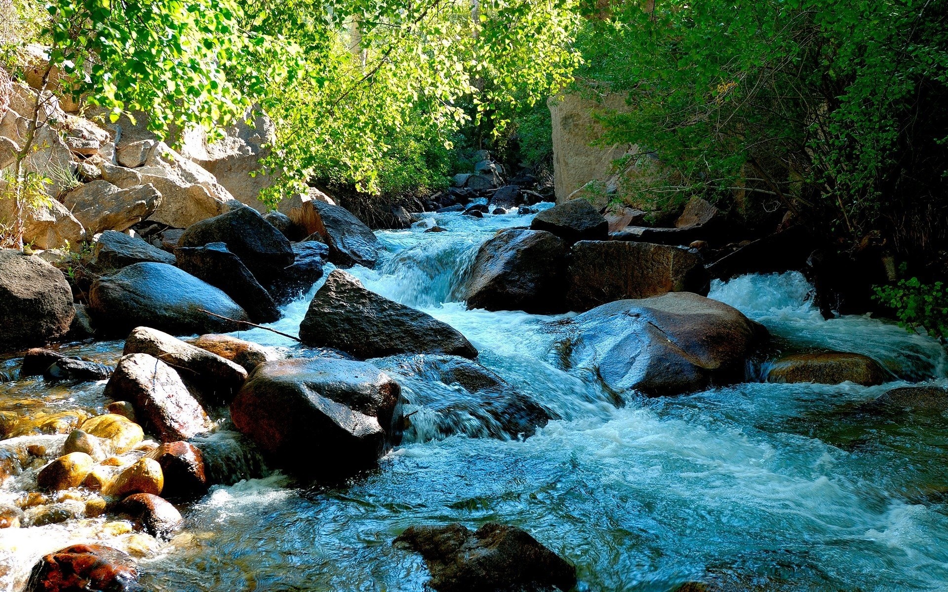A clear stream flows over rocks in a forest HD Wallpaper