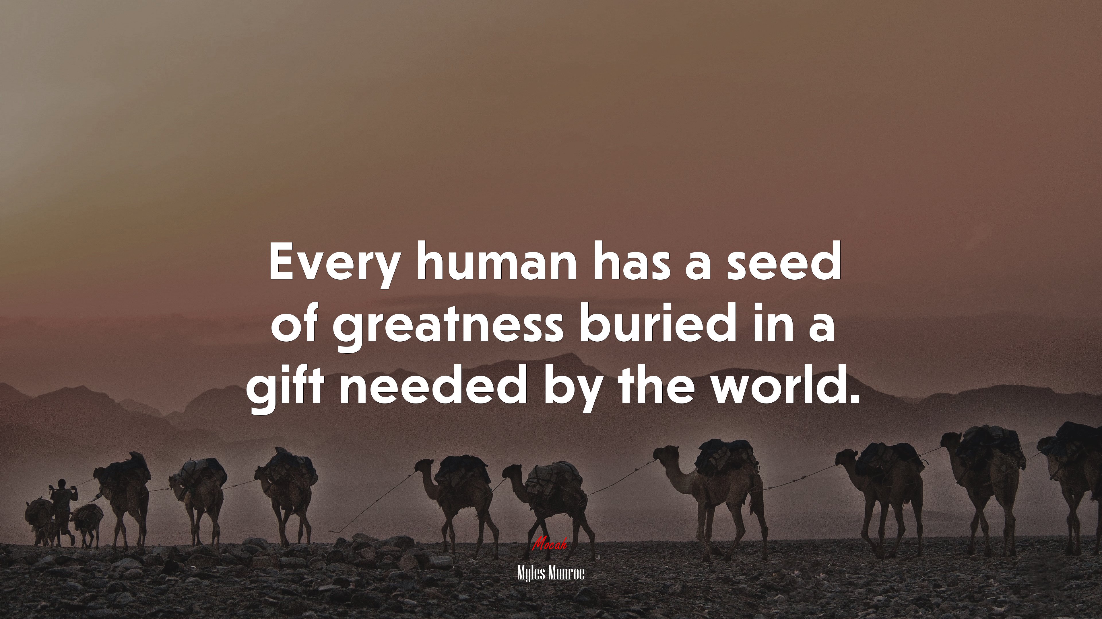 Every human has a seed of greatness buried in a gift needed by the world. | Myles Munroe quote HD Wallpaper