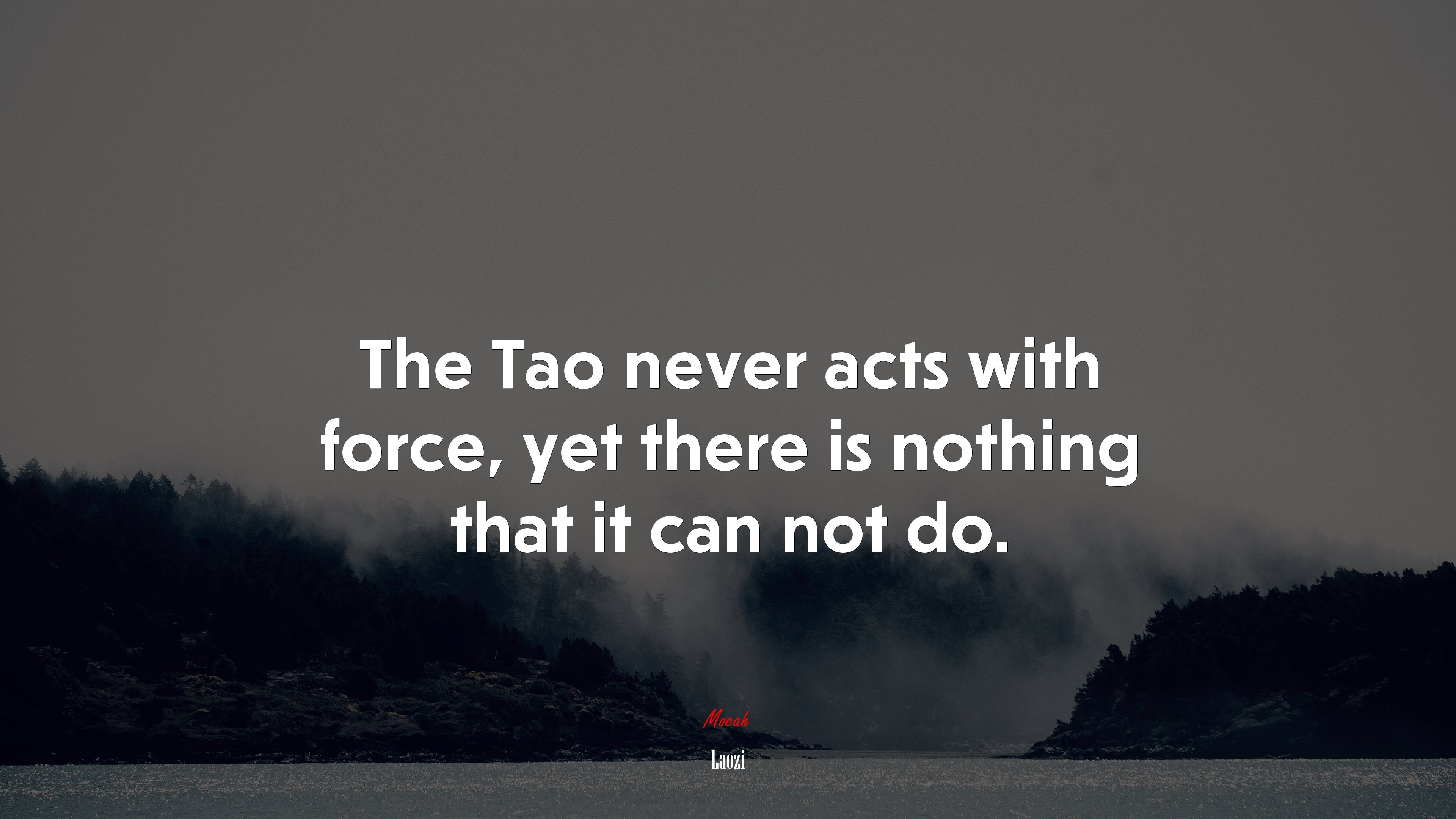 The Tao never acts with force, yet there is nothing that it can not do. | Laozi quote HD Wallpaper