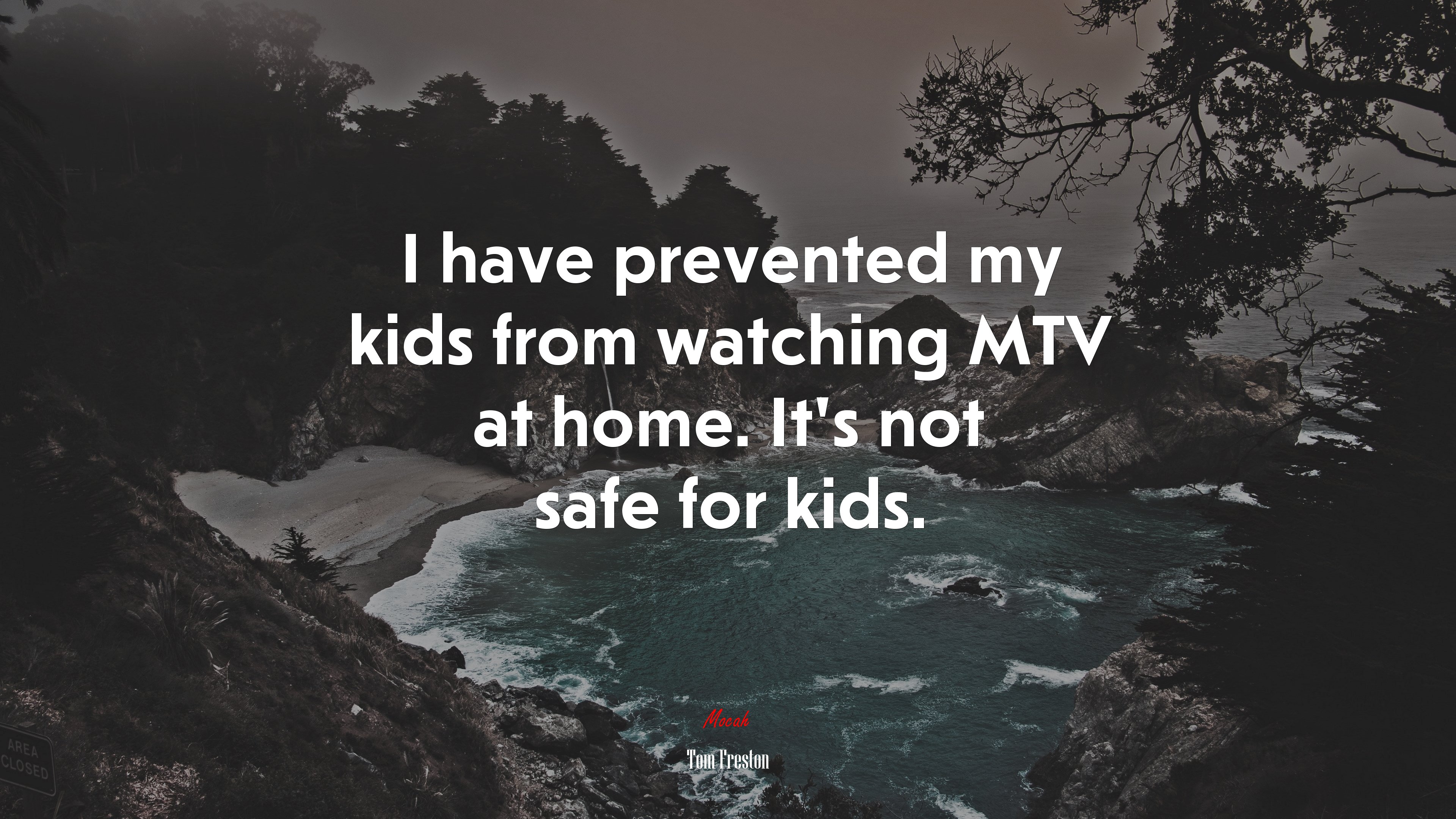 I have prevented my kids from watching MTV at home. It’s not safe for kids. | Tom Freston quote HD Wallpaper