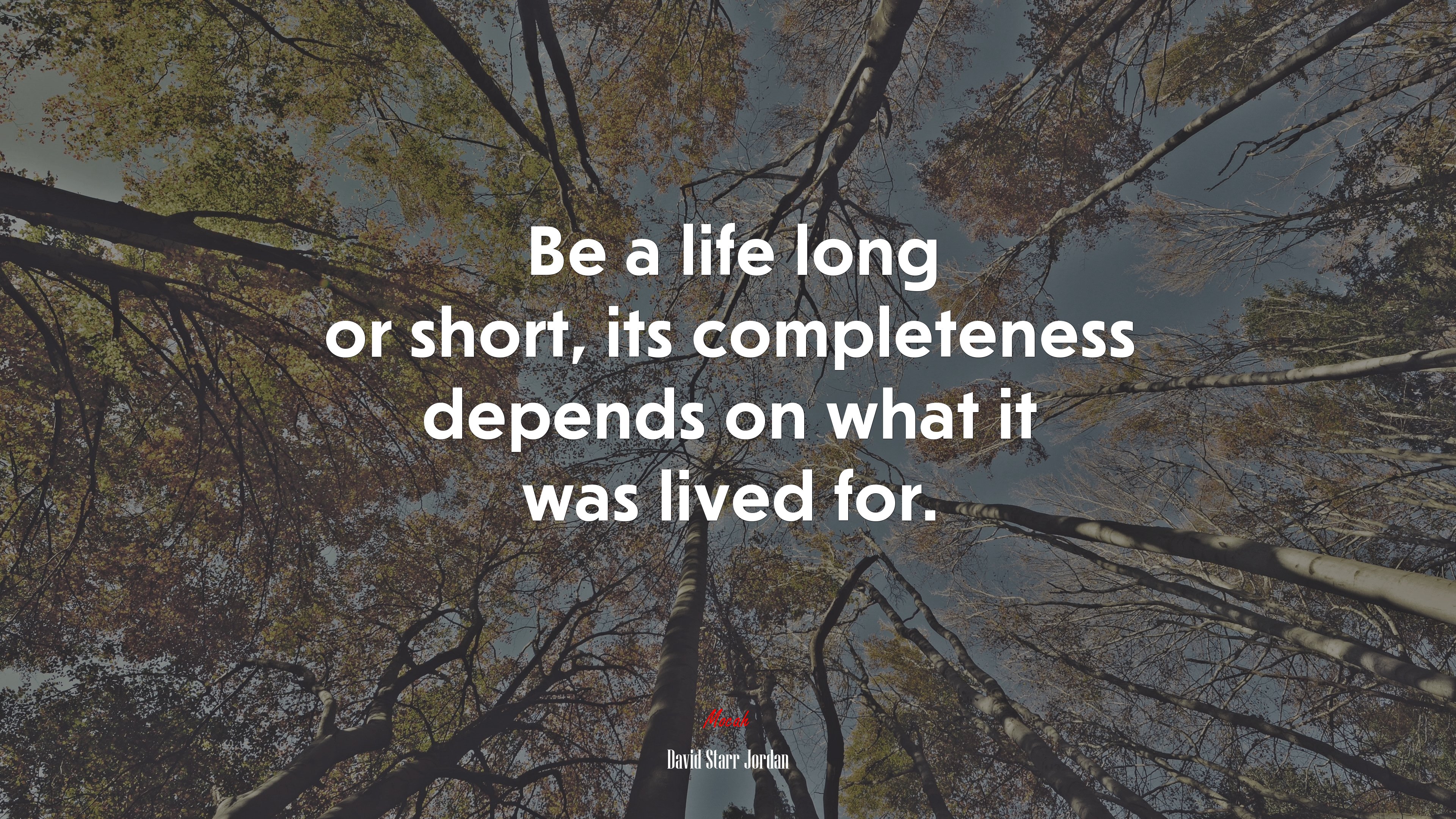 Be a life long or short, its completeness depends on what it was lived for. | David Starr Jordan quote HD Wallpaper