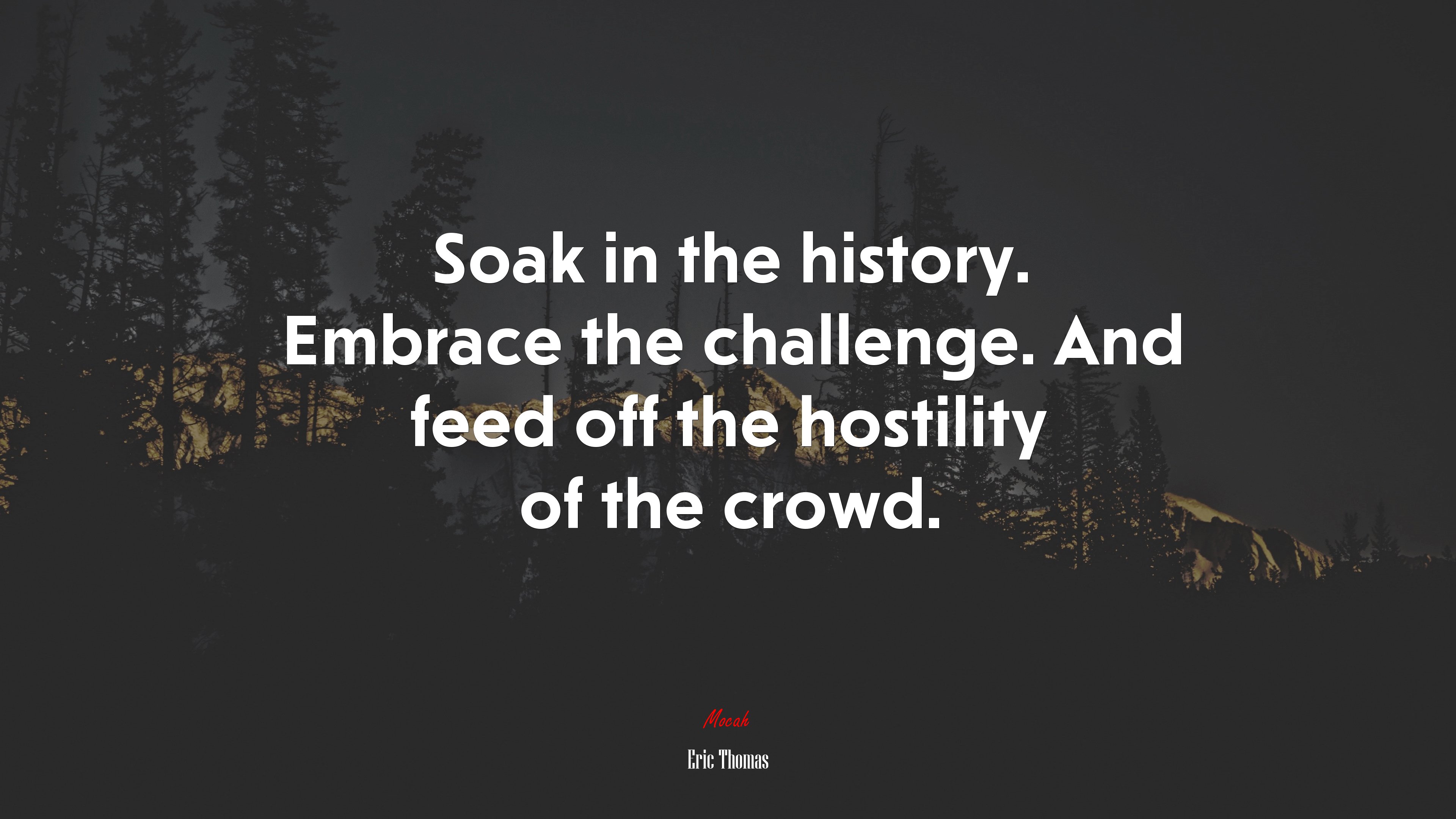 Soak in the history. Embrace the challenge. And feed off the hostility of the crowd. | Eric Thomas quote HD Wallpaper