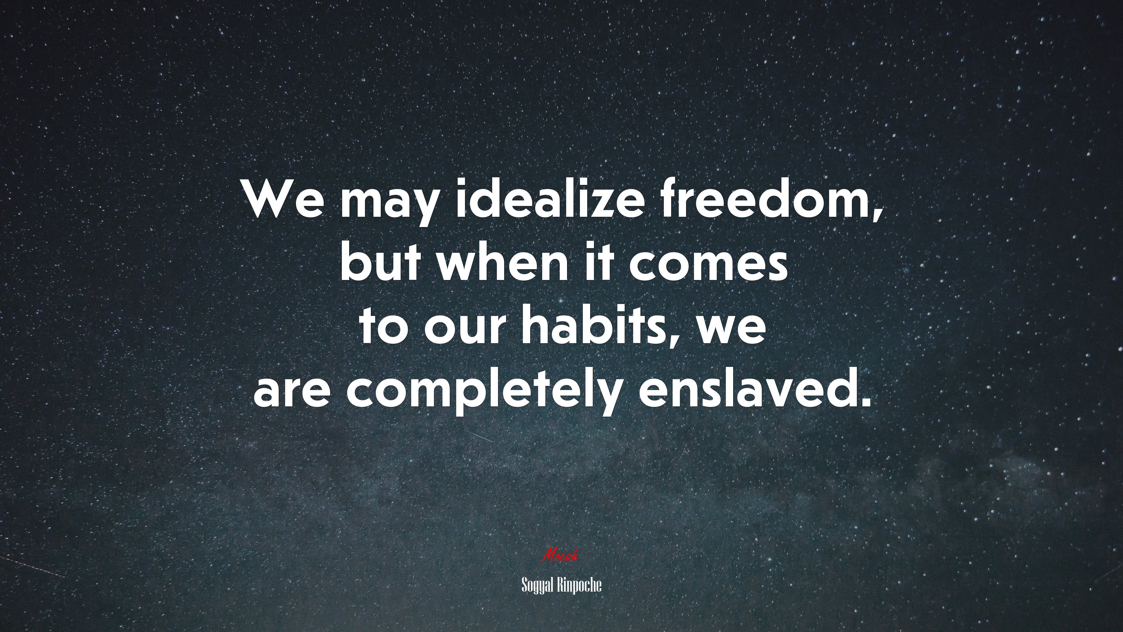 We may idealize freedom, but when it comes to our habits, we are completely enslaved. | Sogyal Rinpoche quote HD Wallpaper