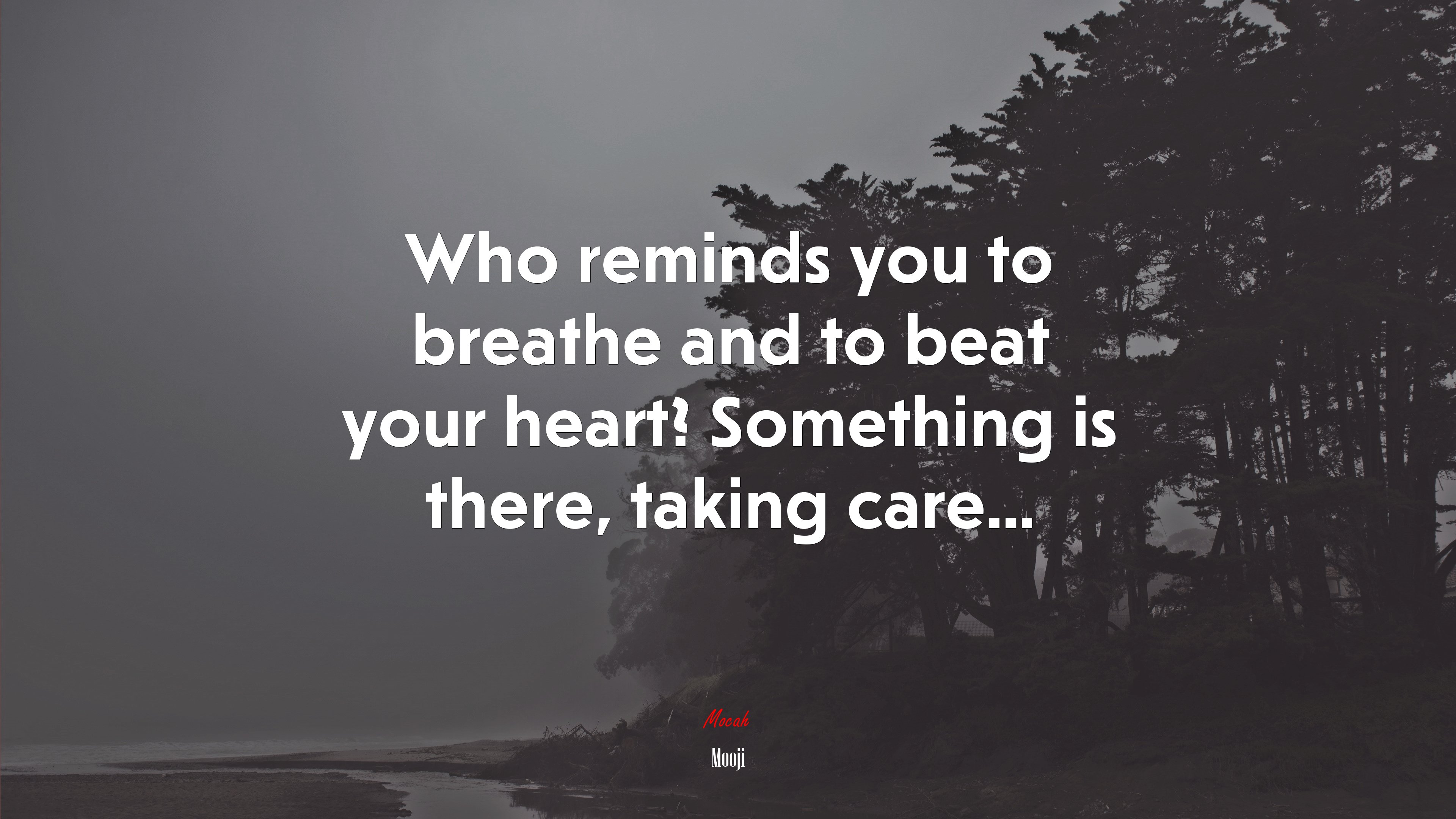 Who reminds you to breathe and to beat your heart? Something is there, taking care... | Mooji quote HD Wallpaper