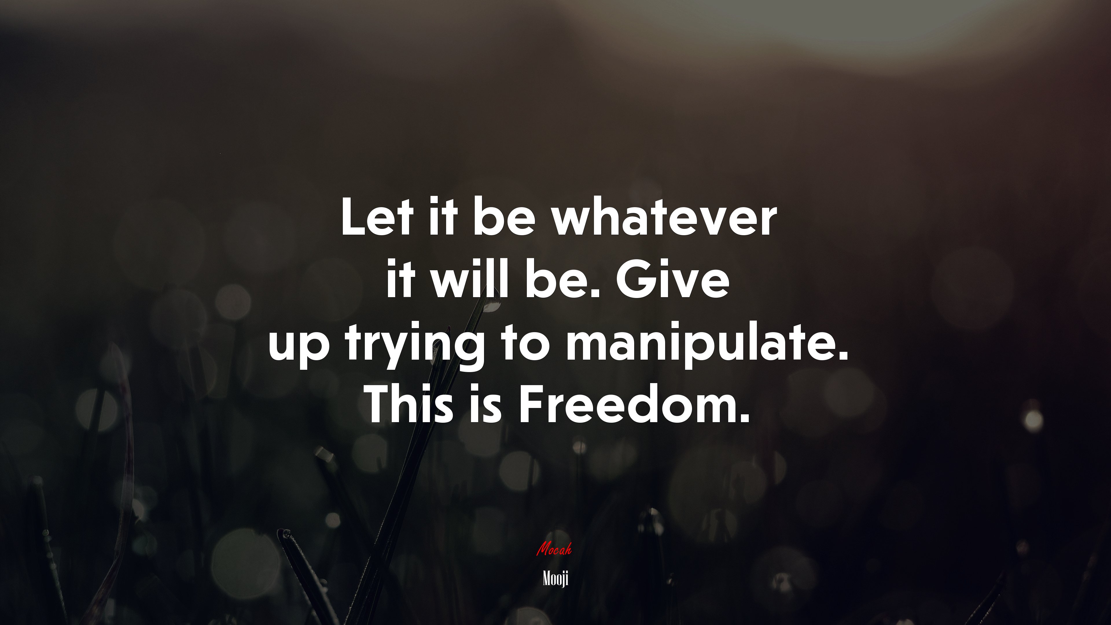 Let it be whatever it will be. Give up trying to manipulate. This is Freedom. | Mooji quote HD Wallpaper