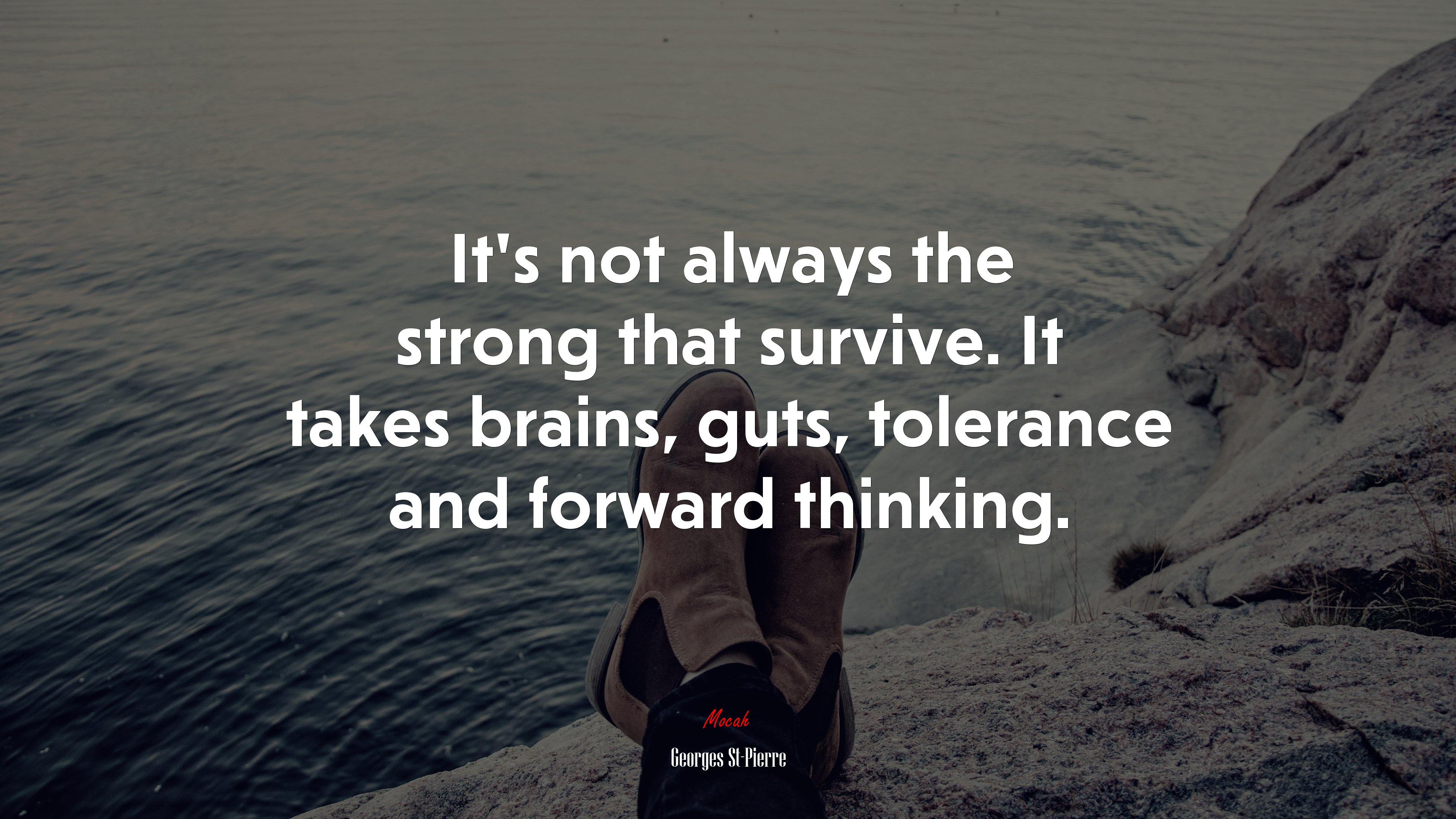 It’s not always the strong that survive. It takes brains, guts, tolerance and forward thinking. | Georges St-Pierre quote HD Wallpaper