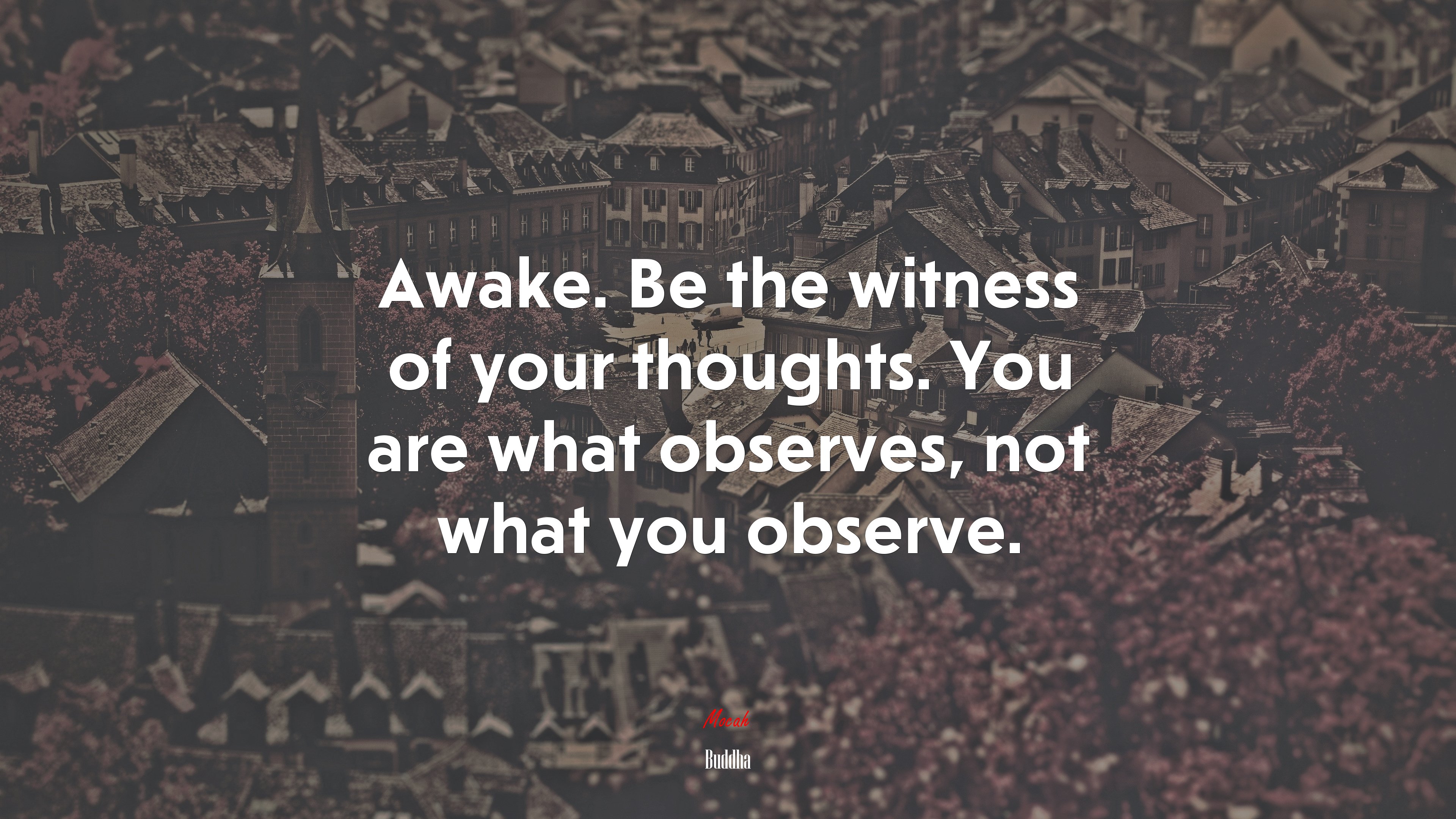 Awake. Be the witness of your thoughts. You are what observes, not what you observe. | Buddha quote HD Wallpaper