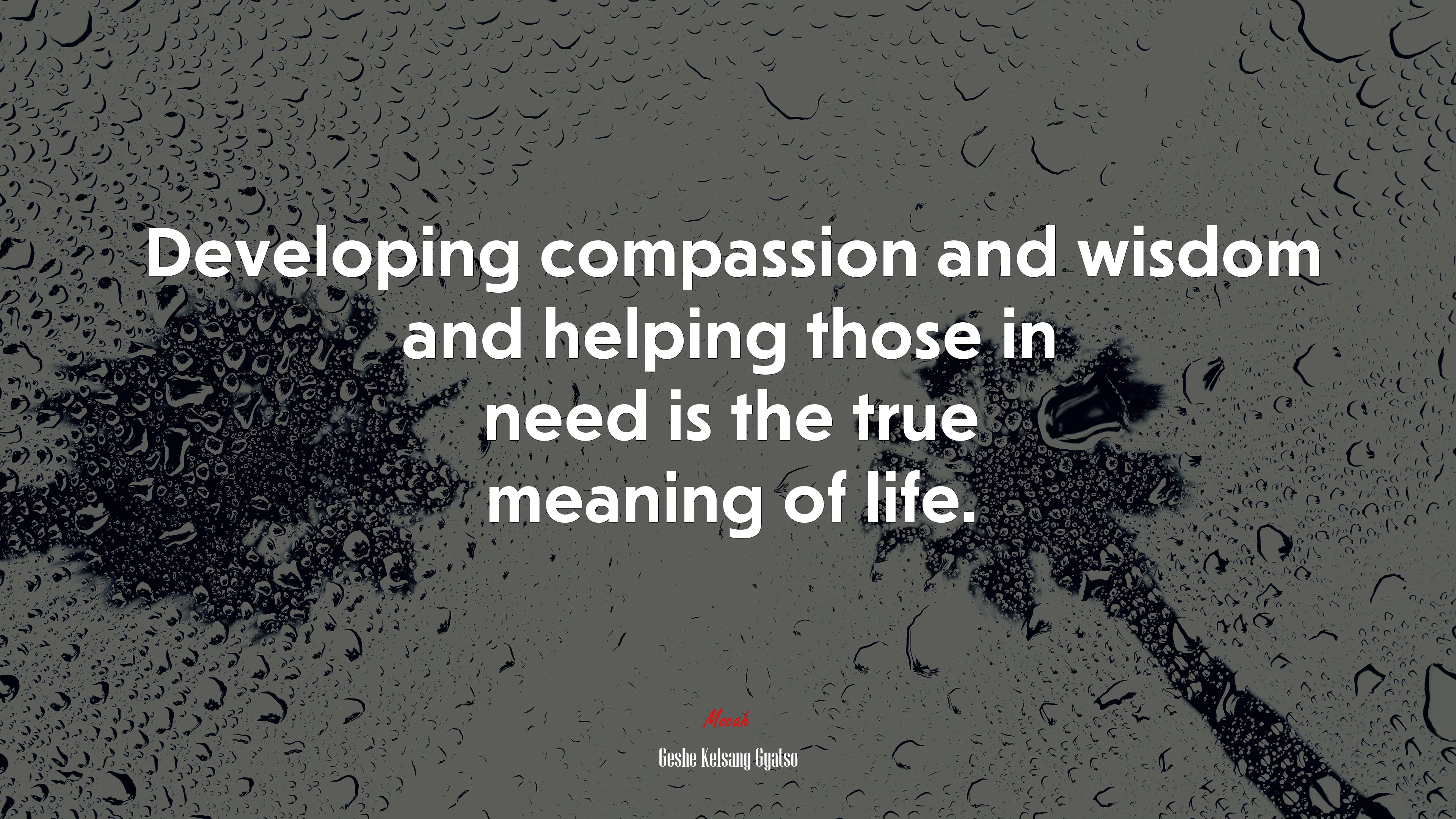 Developing compassion and wisdom and helping those in need is the true meaning of life. | Geshe Kelsang Gyatso quote HD Wallpaper