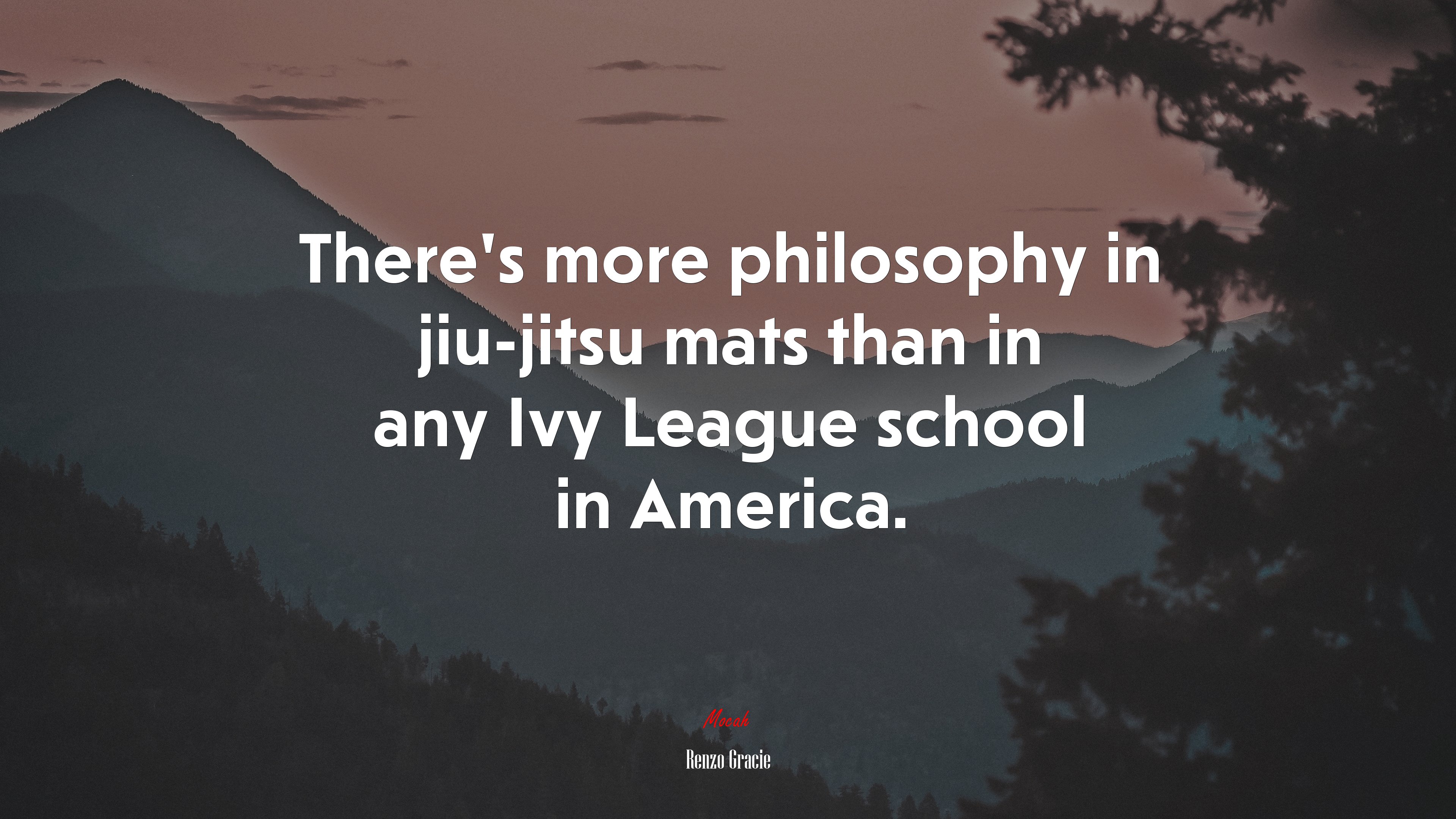 There’s more philosophy in jiu-jitsu mats than in any Ivy League school in America. | Renzo Gracie quote HD Wallpaper
