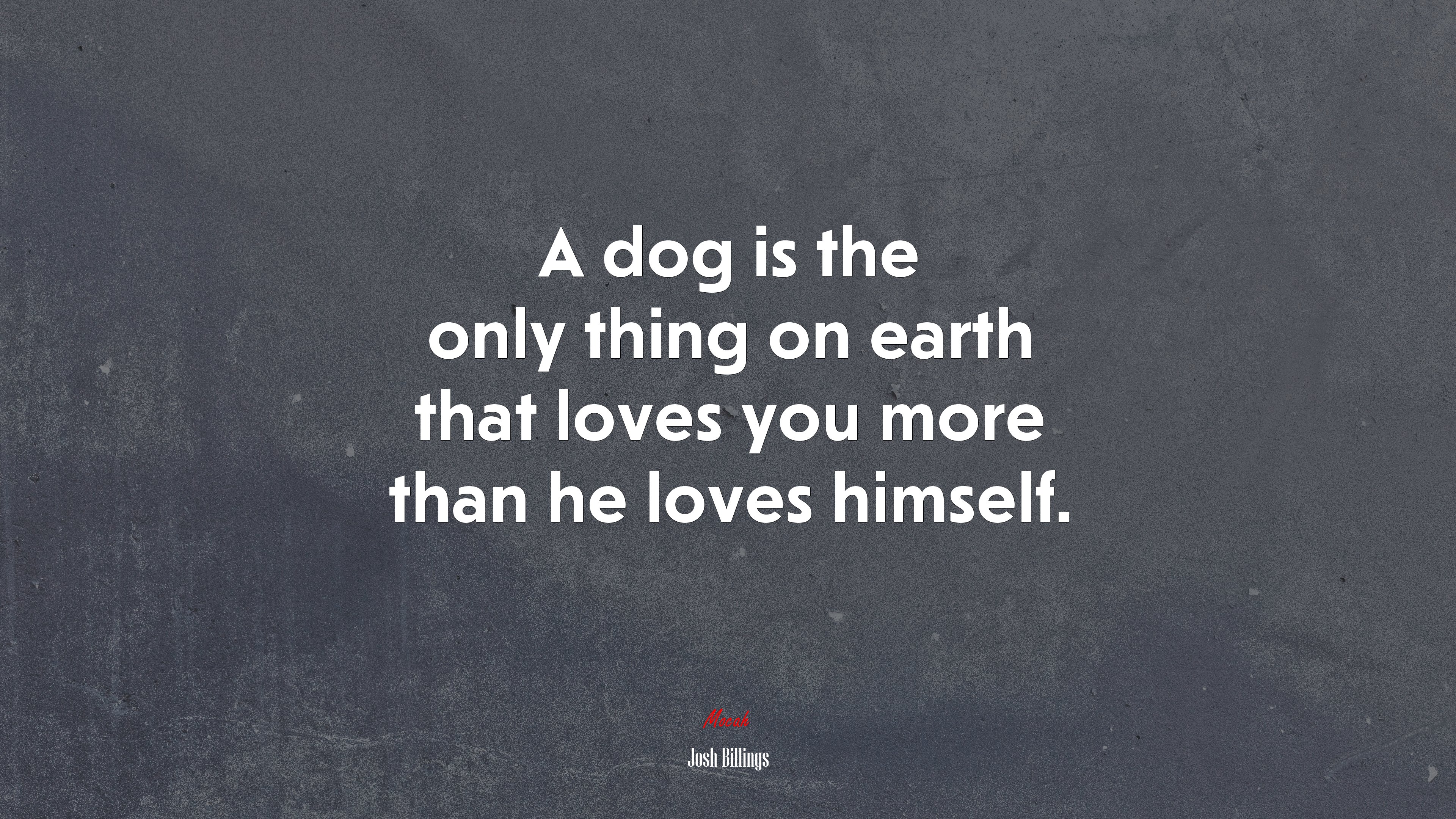 A dog is the only thing on earth that loves you more than he loves himself. | Josh Billings quote HD Wallpaper