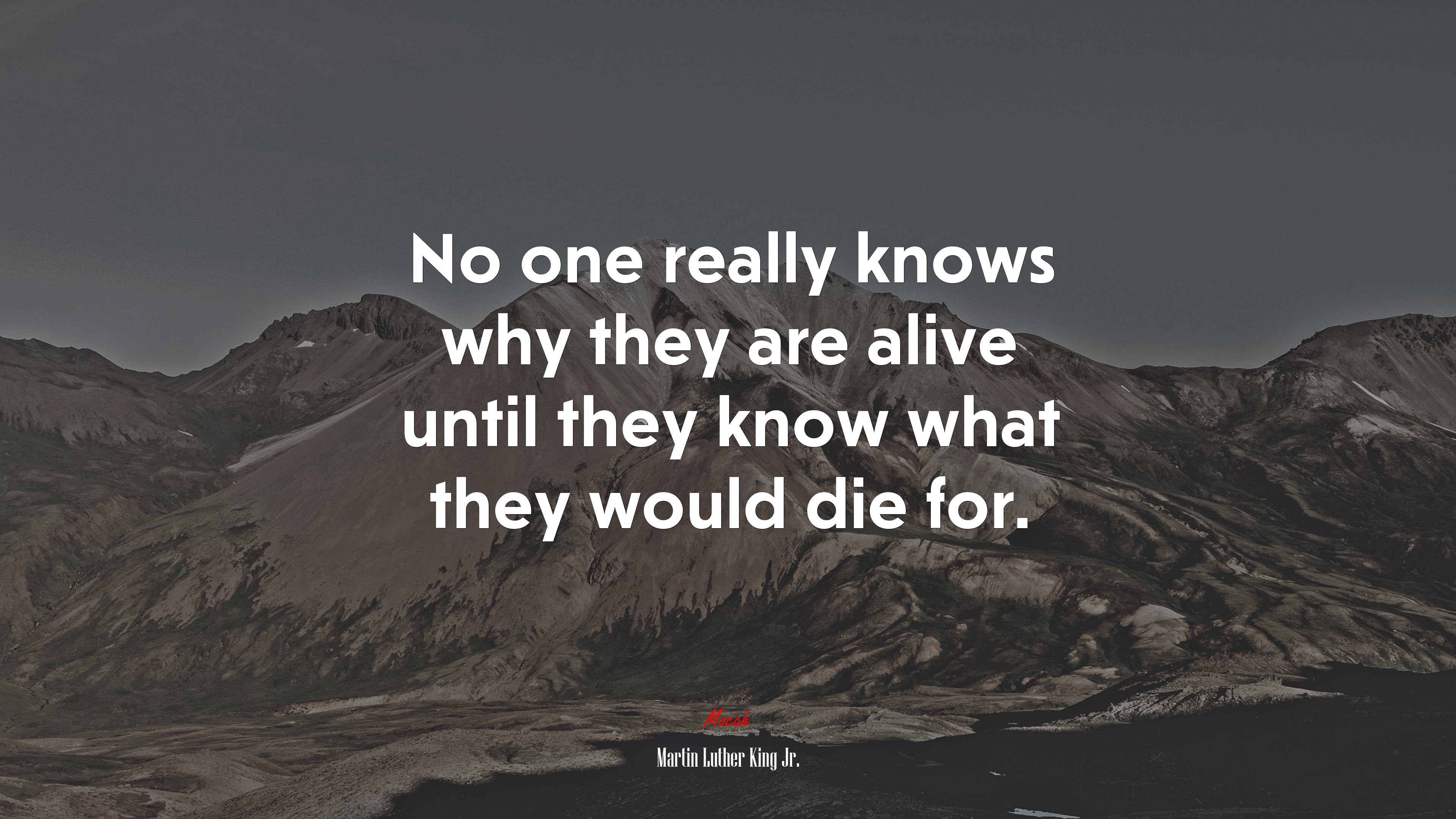 No one really knows why they are alive until they know what they would die for. | Martin Luther King Jr. quote HD Wallpaper