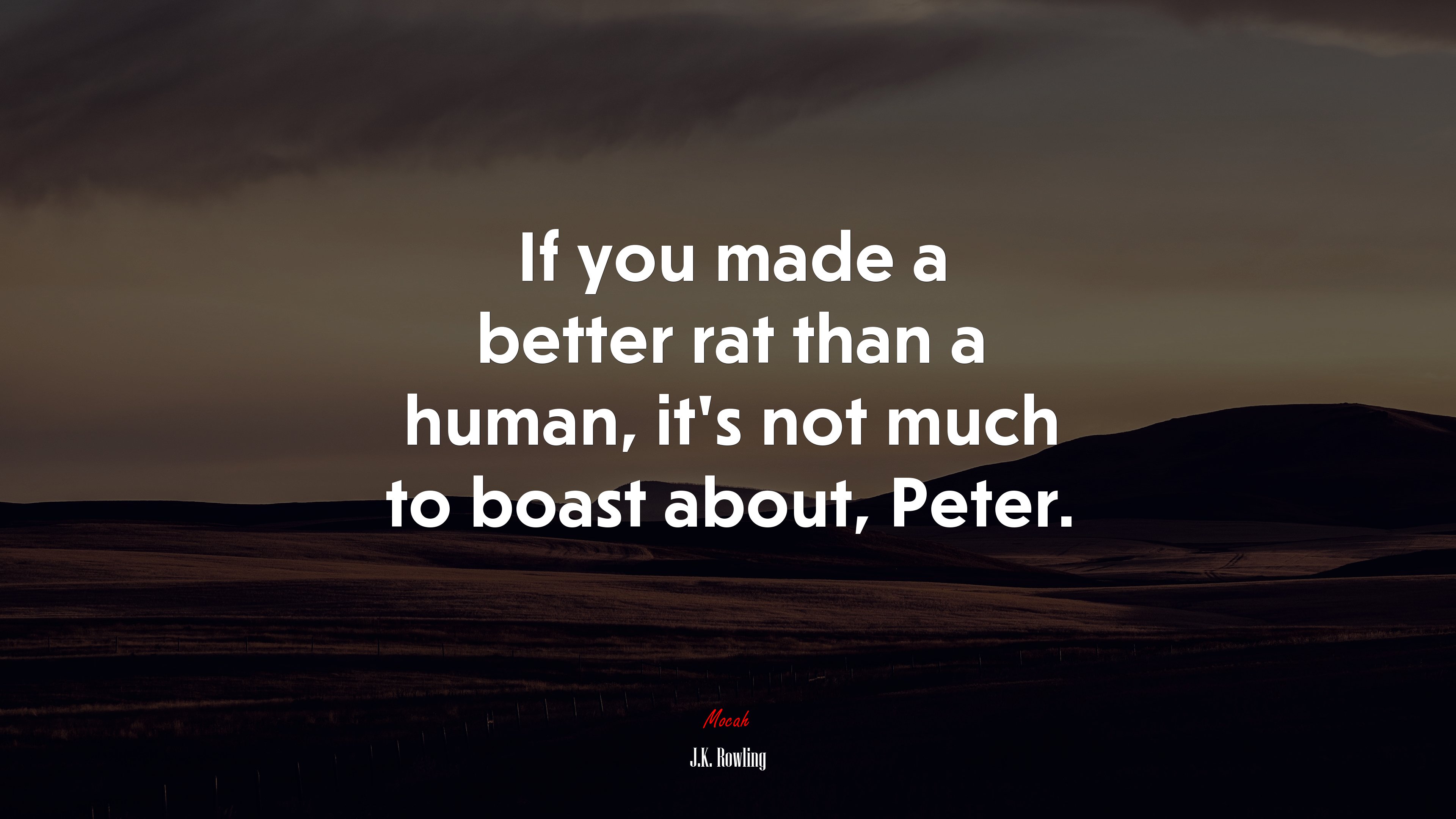 If you made a better rat than a human, it’s not much to boast about, Peter. | J.K. Rowling quote HD Wallpaper