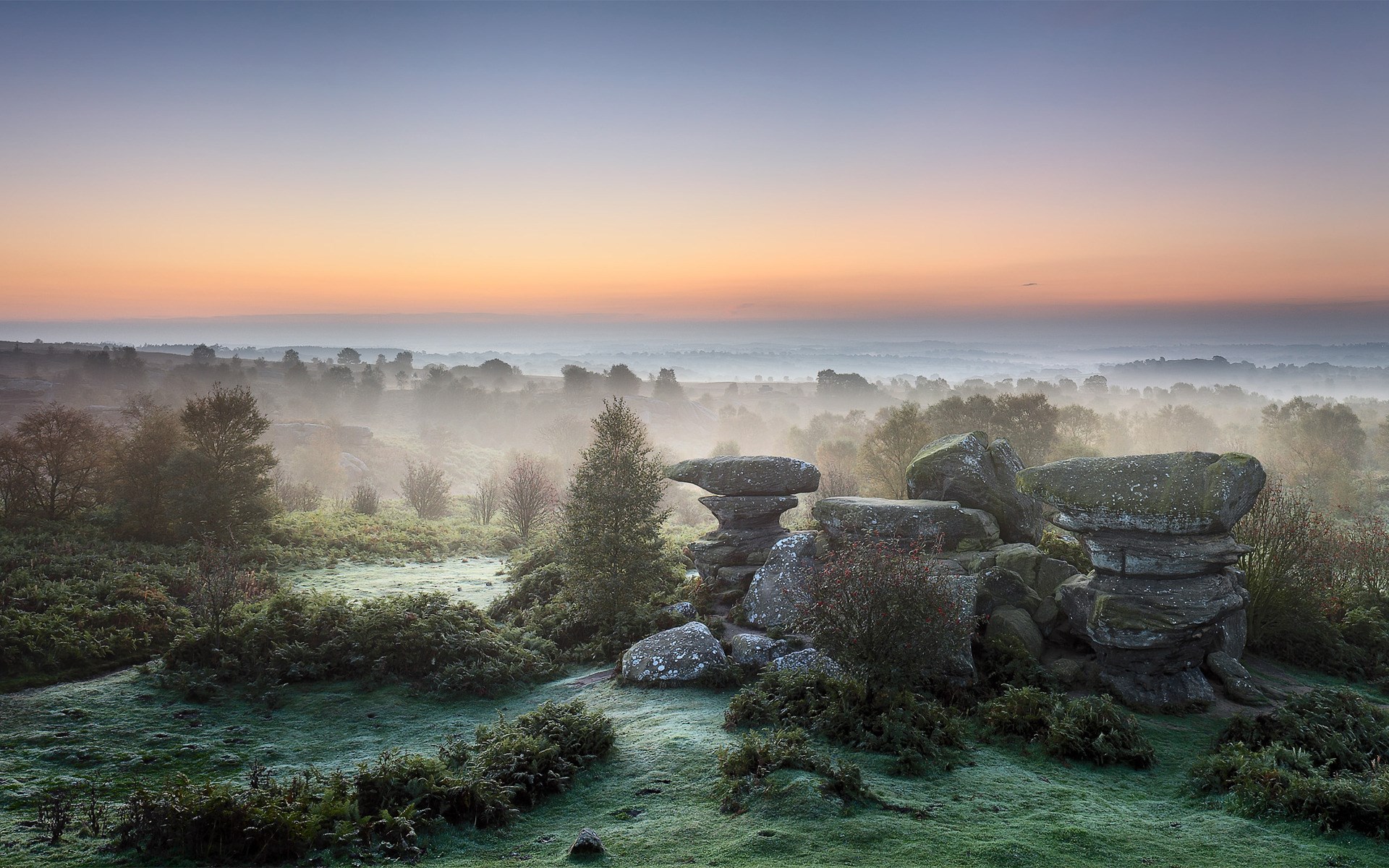 Misty sunrise over a rocky landscape with trees HD Wallpaper