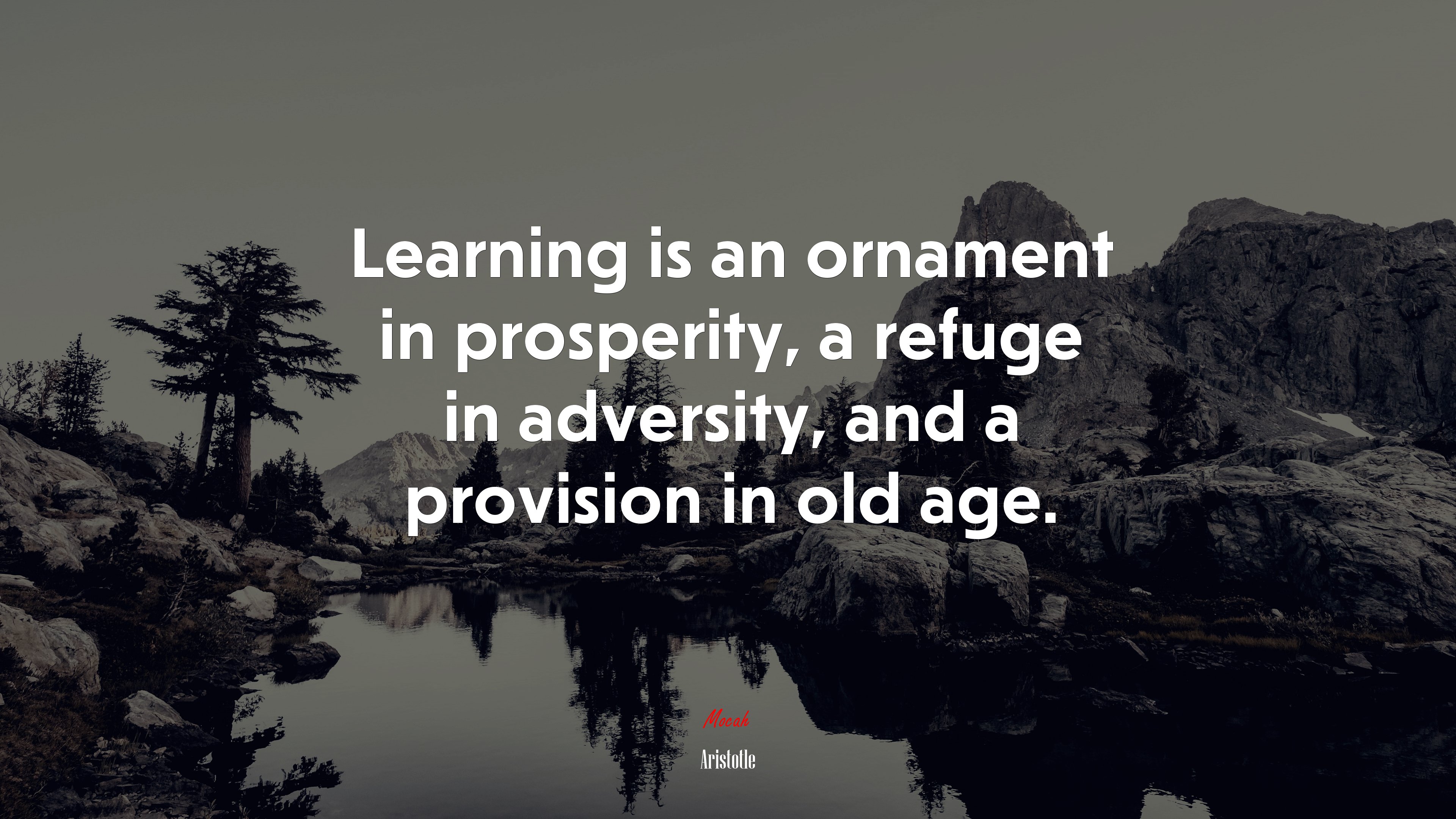 Learning is an ornament in prosperity, a refuge in adversity, and a provision in old age. | Aristotle quote HD Wallpaper