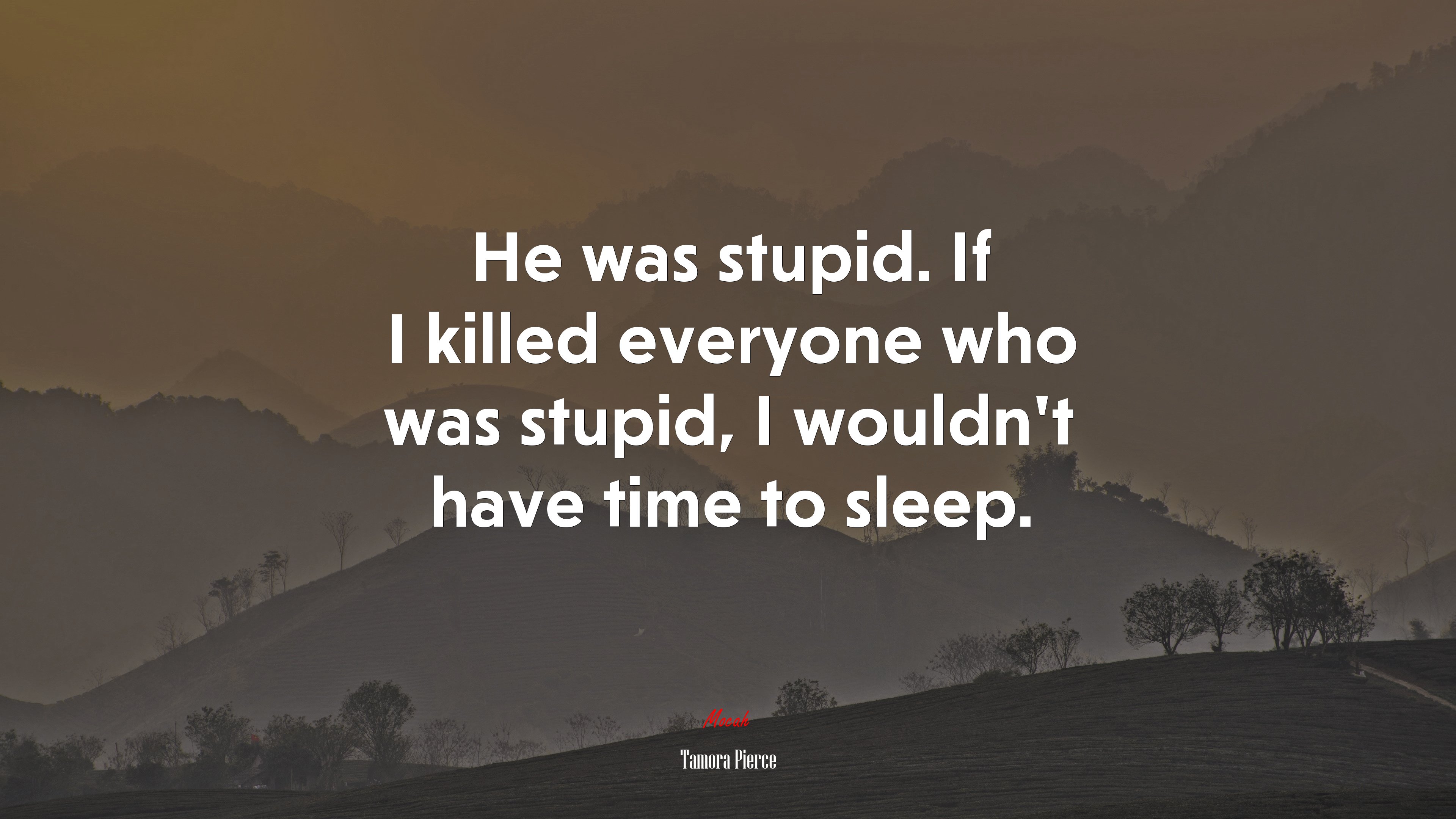 He was stupid. If I killed everyone who was stupid, I wouldn’t have time to sleep. | Tamora Pierce quote HD Wallpaper