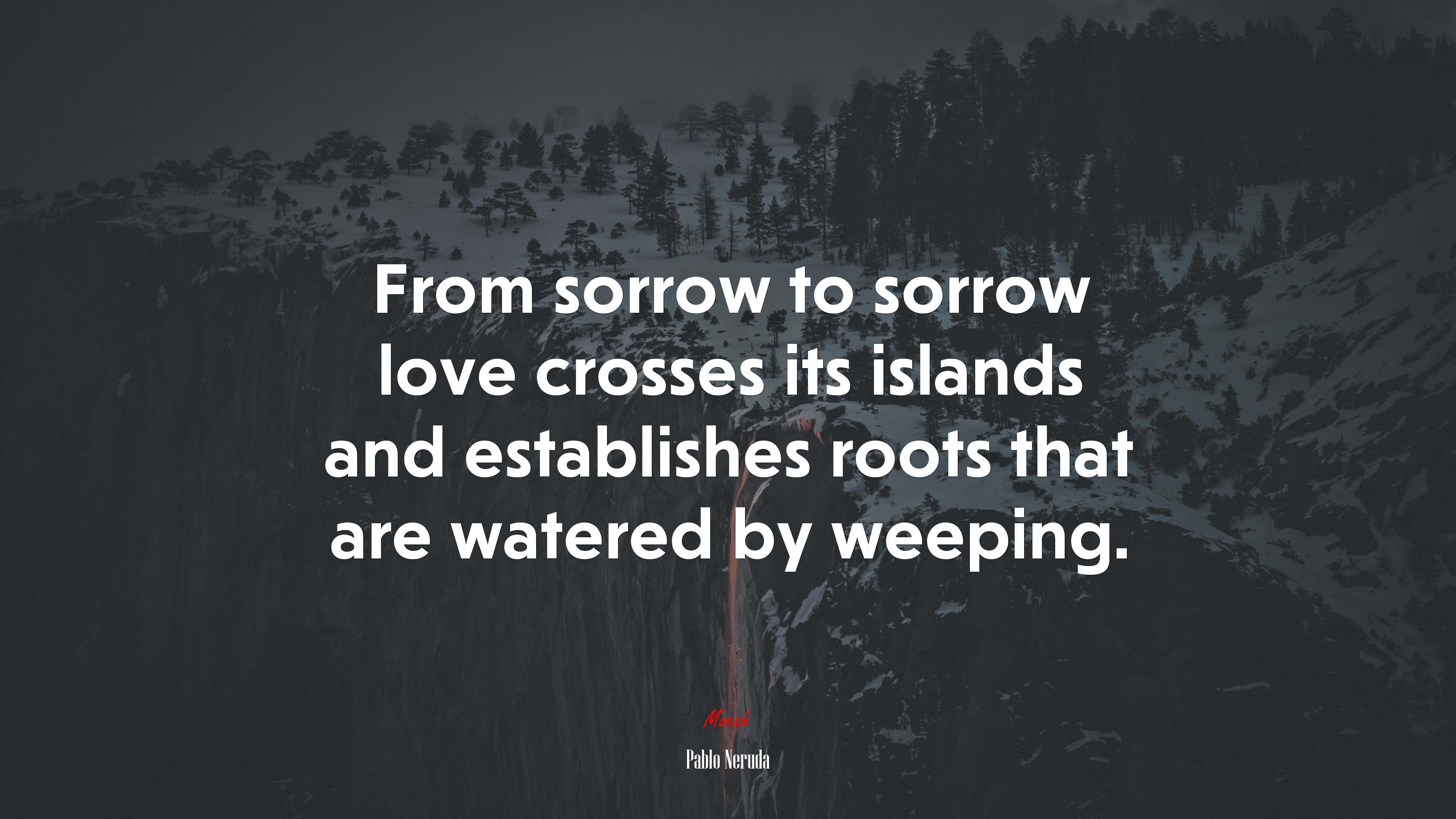 From sorrow to sorrow love crosses its islands and establishes roots that are watered by weeping. | Pablo Neruda quote HD Wallpaper