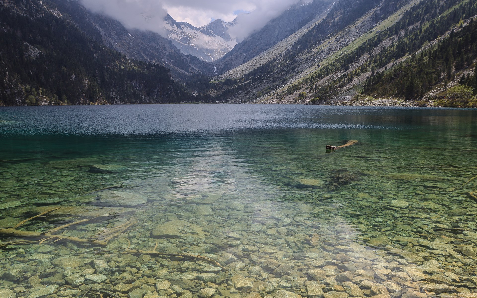 Clear mountain lake with rocky bottom and forested mountains HD Wallpaper