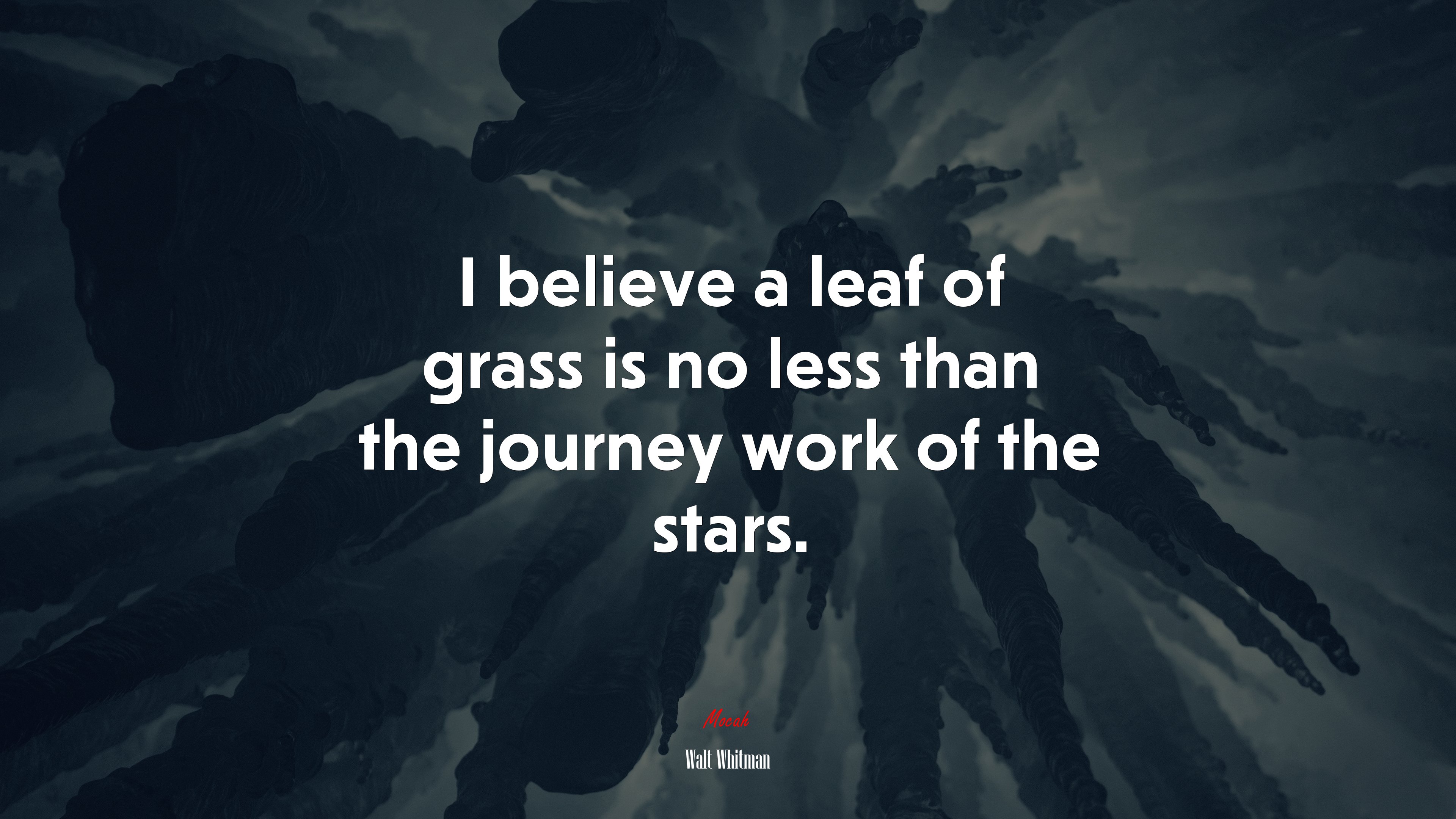 I believe a leaf of grass is no less than the journey work of the stars. | Walt Whitman quote HD Wallpaper