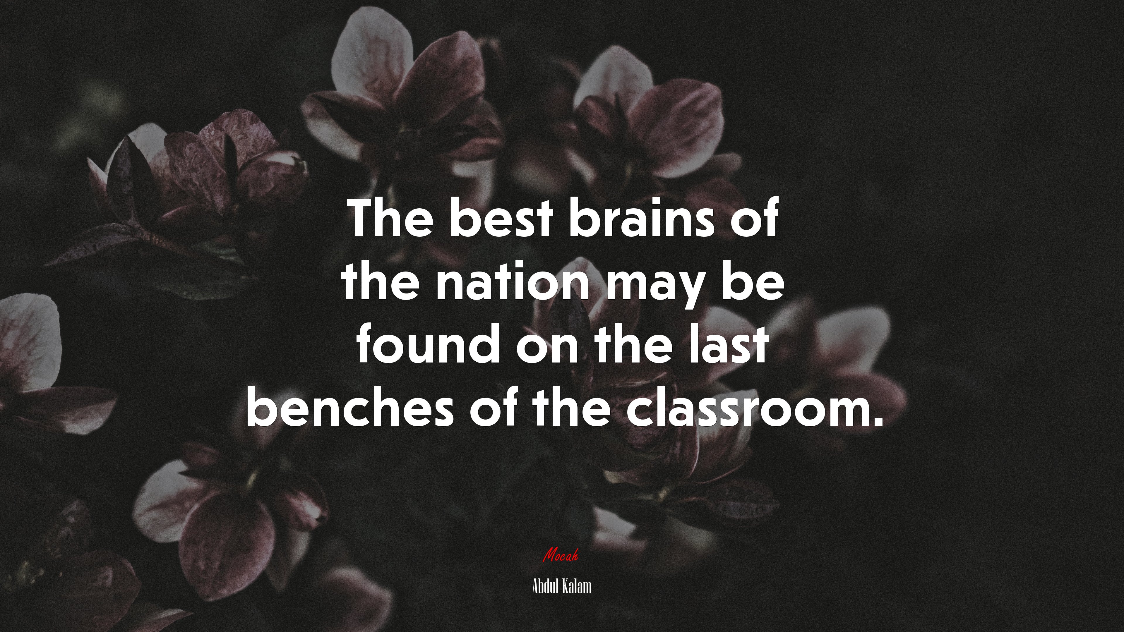 The best brains of the nation may be found on the last benches of the classroom. | Abdul Kalam quote HD Wallpaper