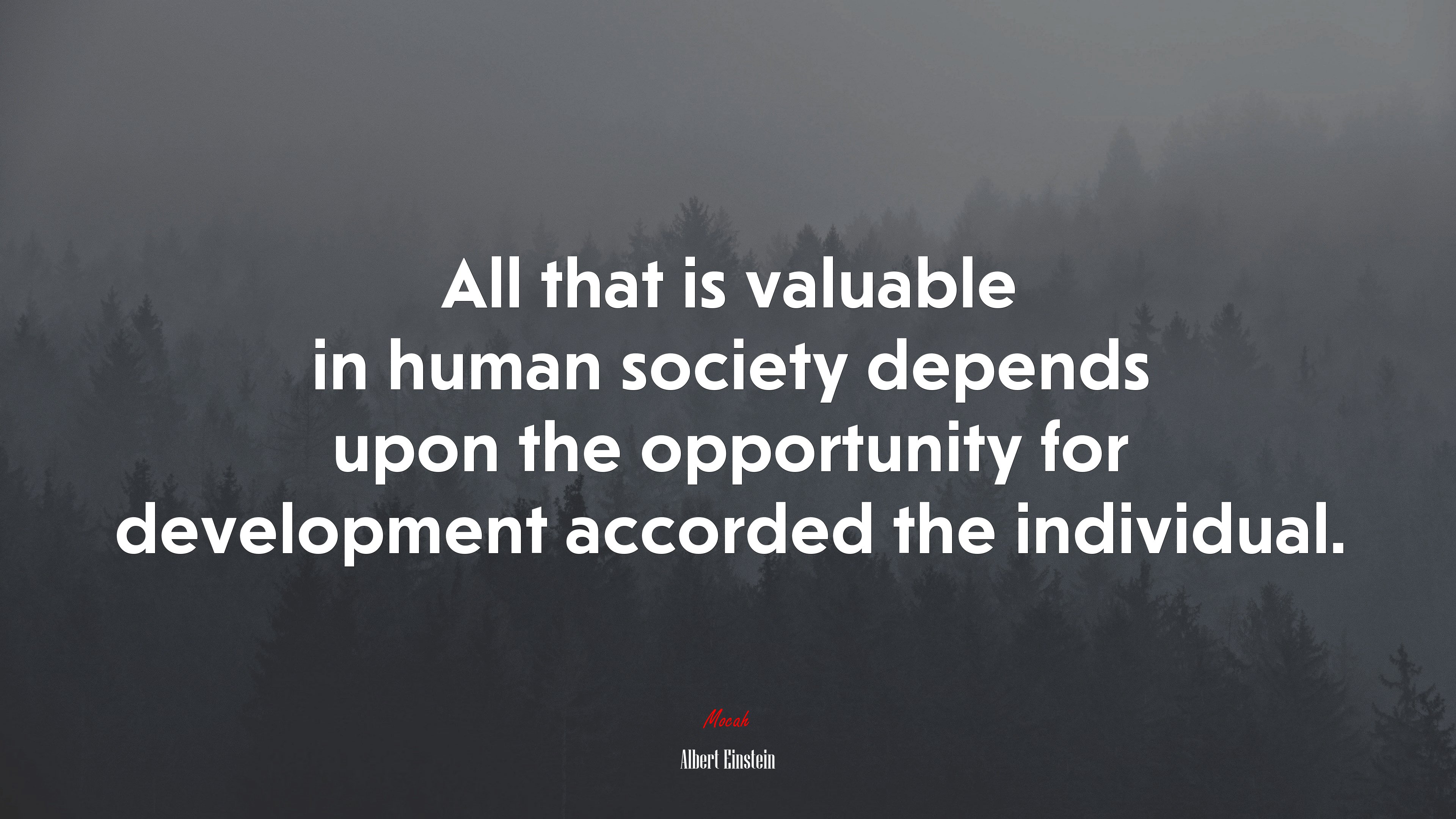 All that is valuable in human society depends upon the opportunity for development accorded the individual. | Albert Einstein quote HD Wallpaper