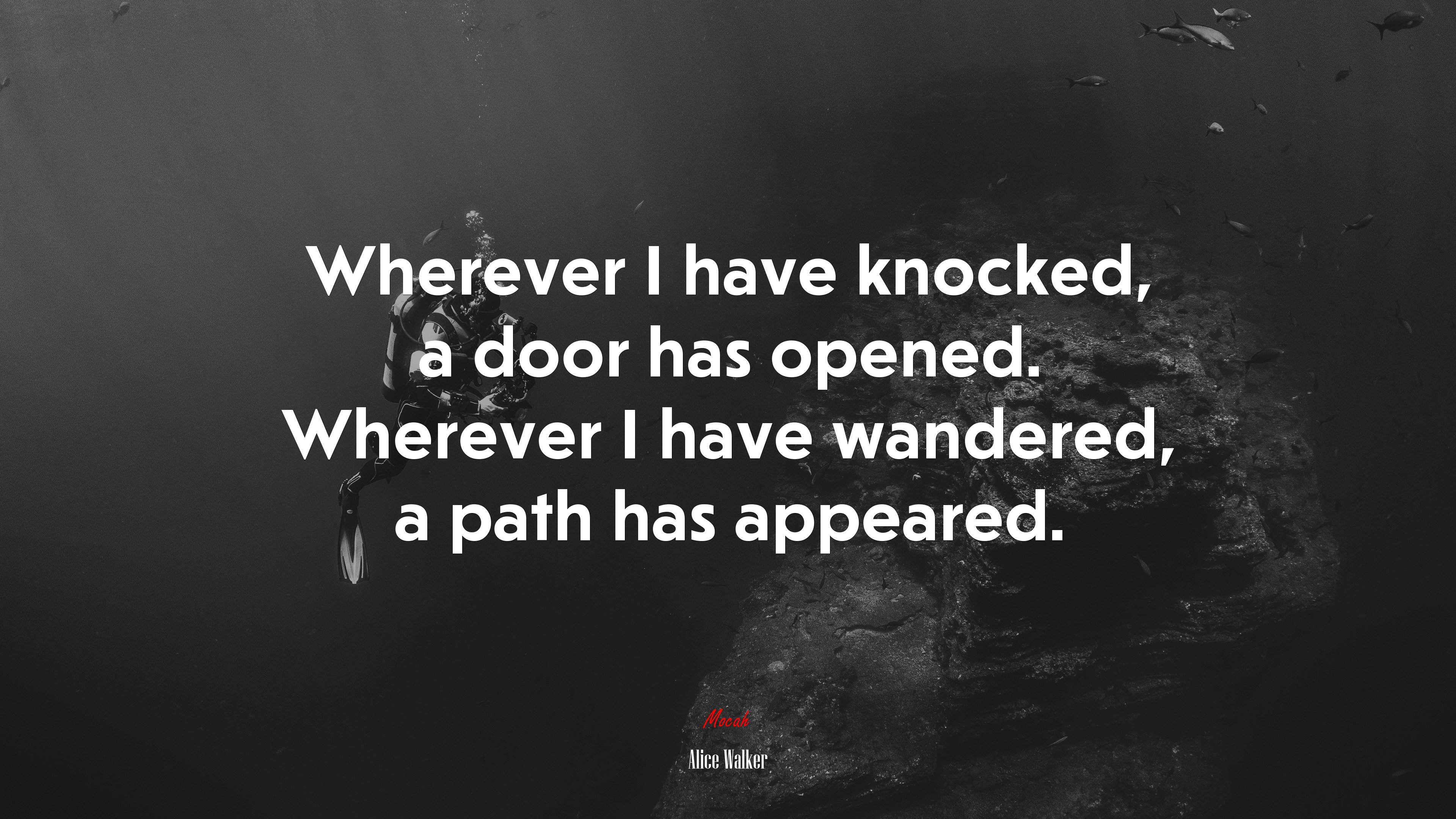 Wherever I have knocked, a door has opened. Wherever I have wandered, a path has appeared. | Alice Walker quote HD Wallpaper