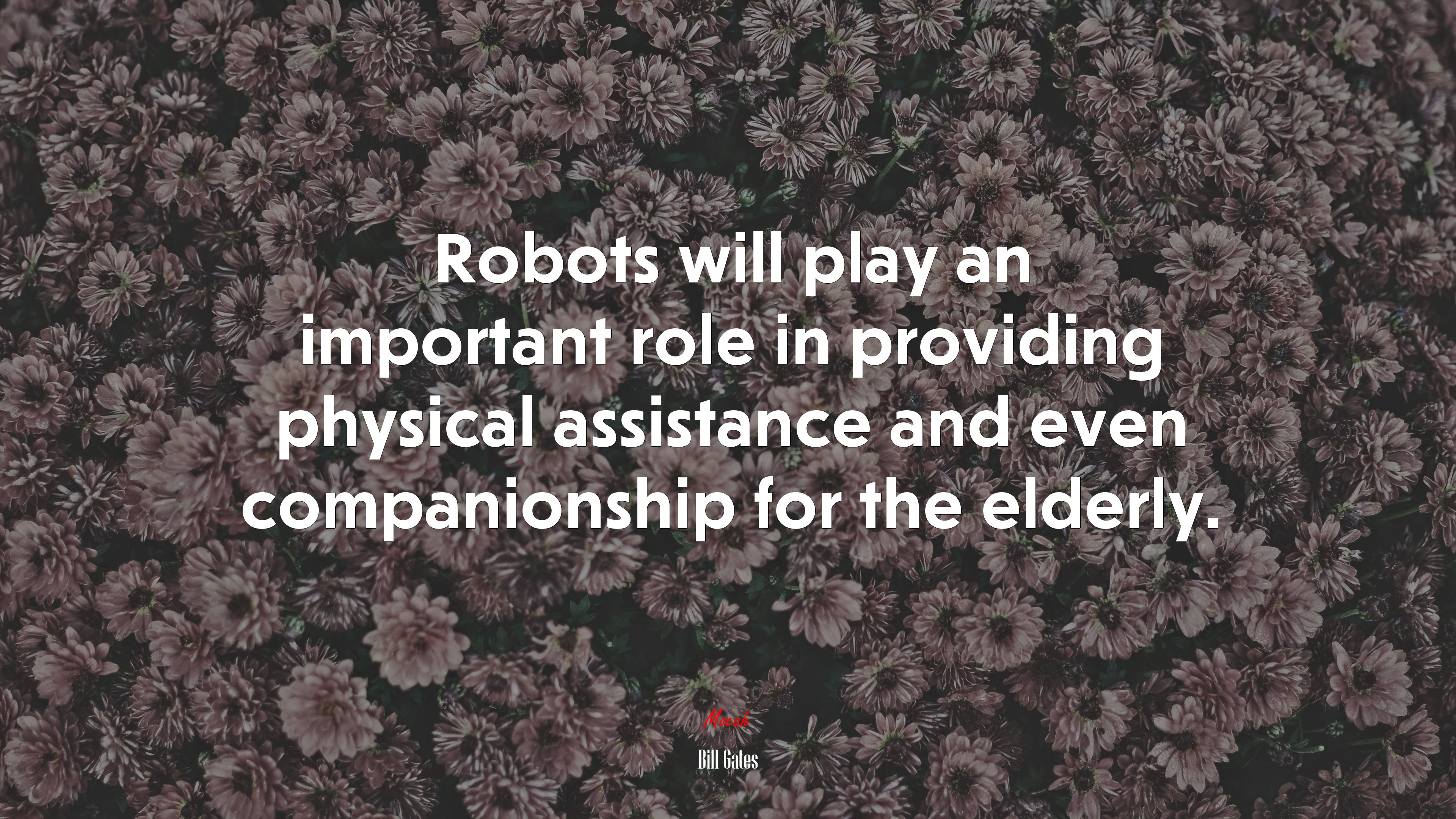 Robots will play an important role in providing physical assistance and even companionship for the elderly. | Bill Gates quote HD Wallpaper