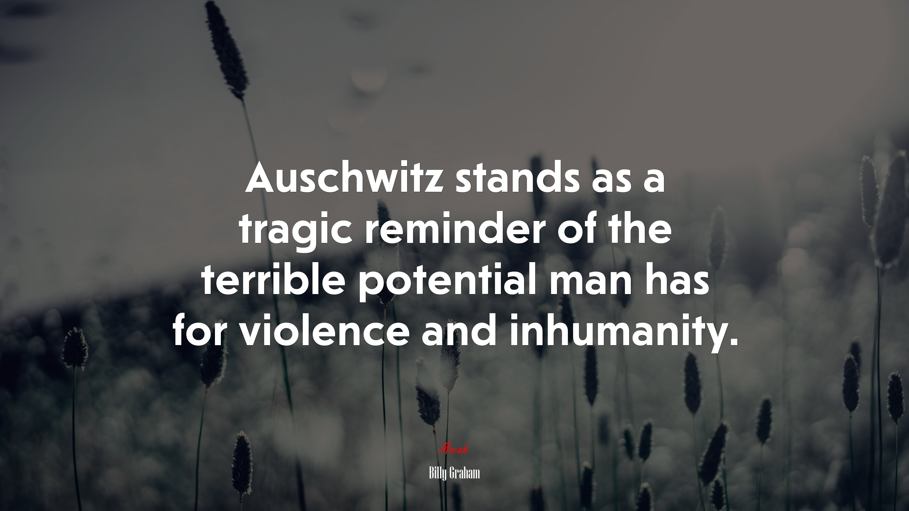 Auschwitz stands as a tragic reminder of the terrible potential man has for violence and inhumanity. | Billy Graham quote HD Wallpaper