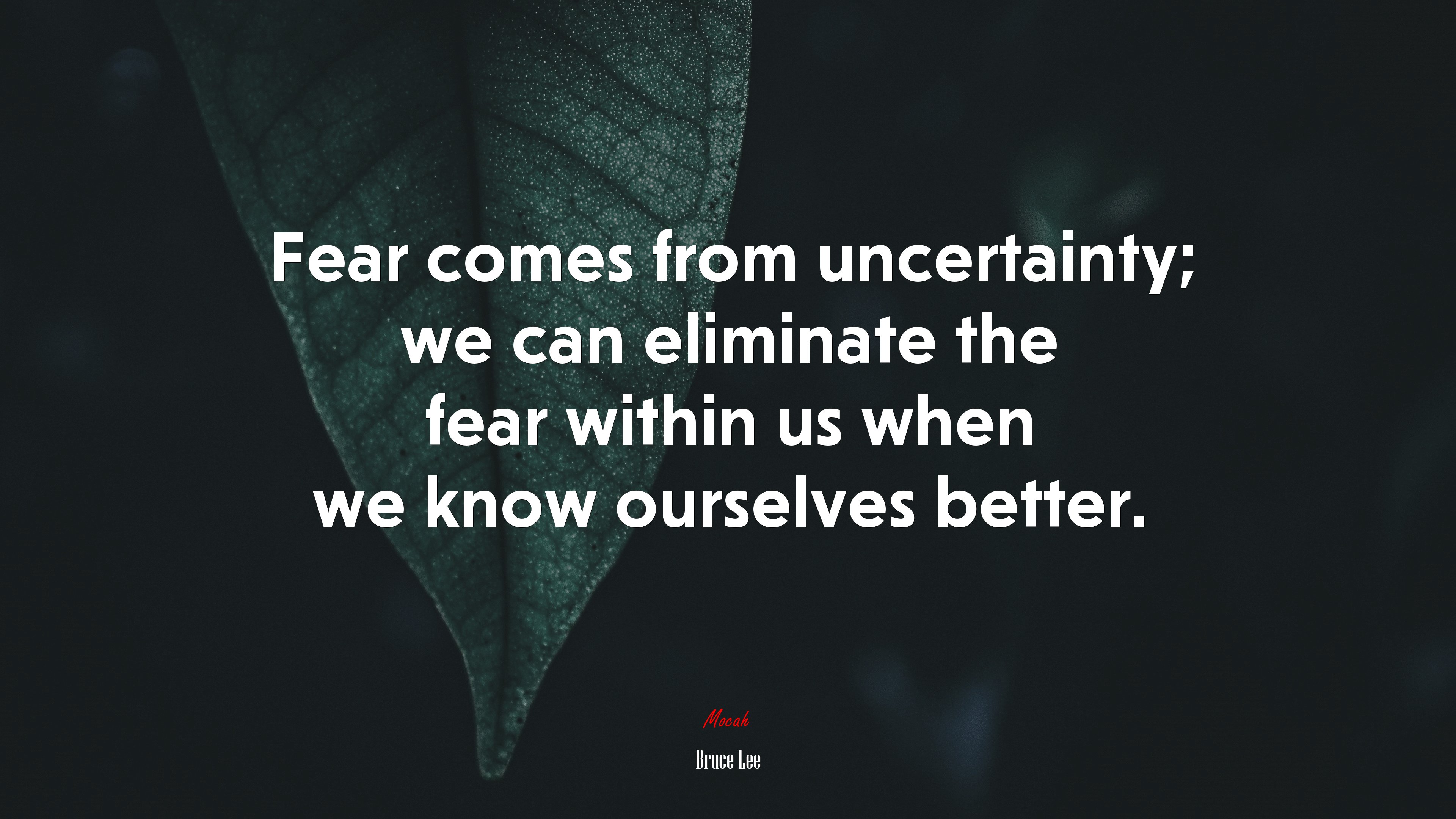 Fear comes from uncertainty; we can eliminate the fear within us when we know ourselves better. | Bruce Lee quote HD Wallpaper
