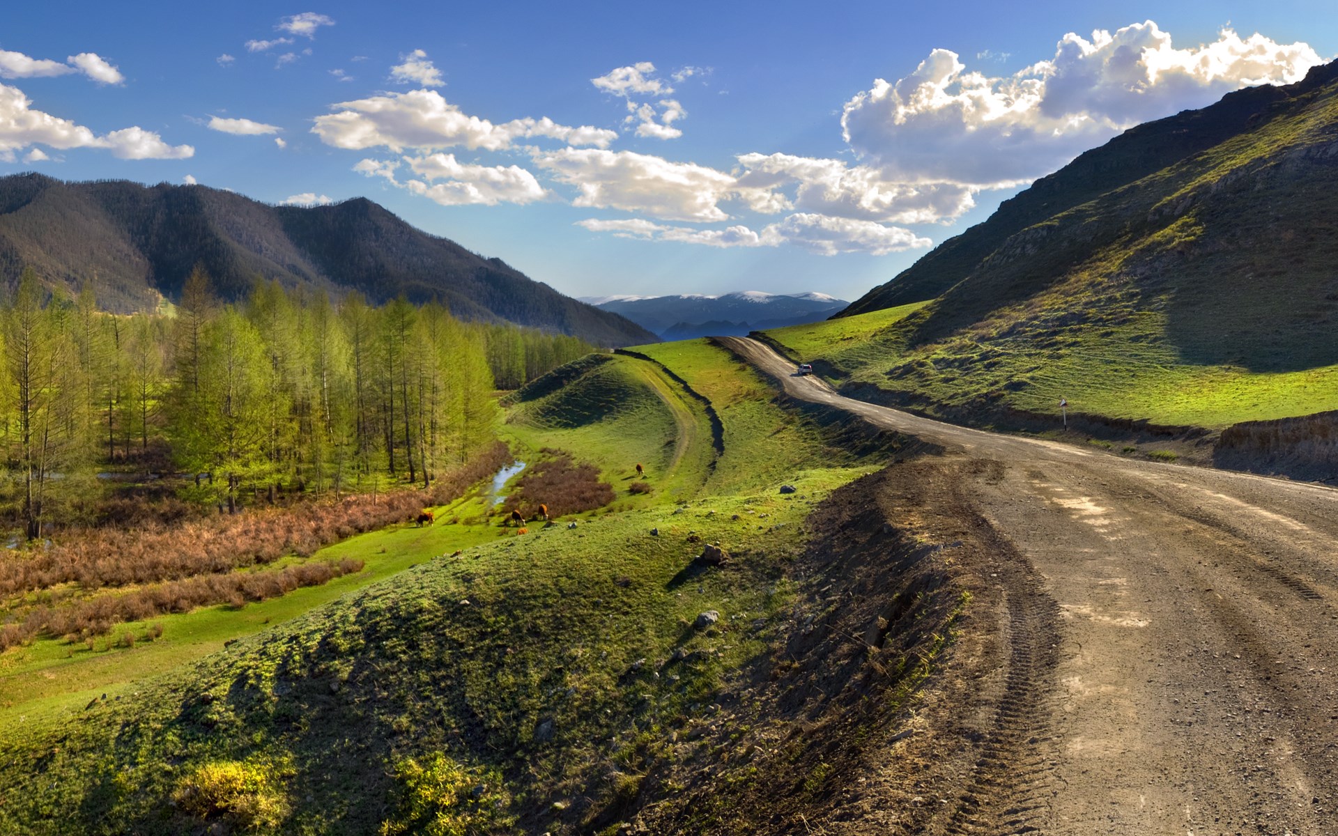Dirt road winding through green hills under a blue sky HD Wallpaper