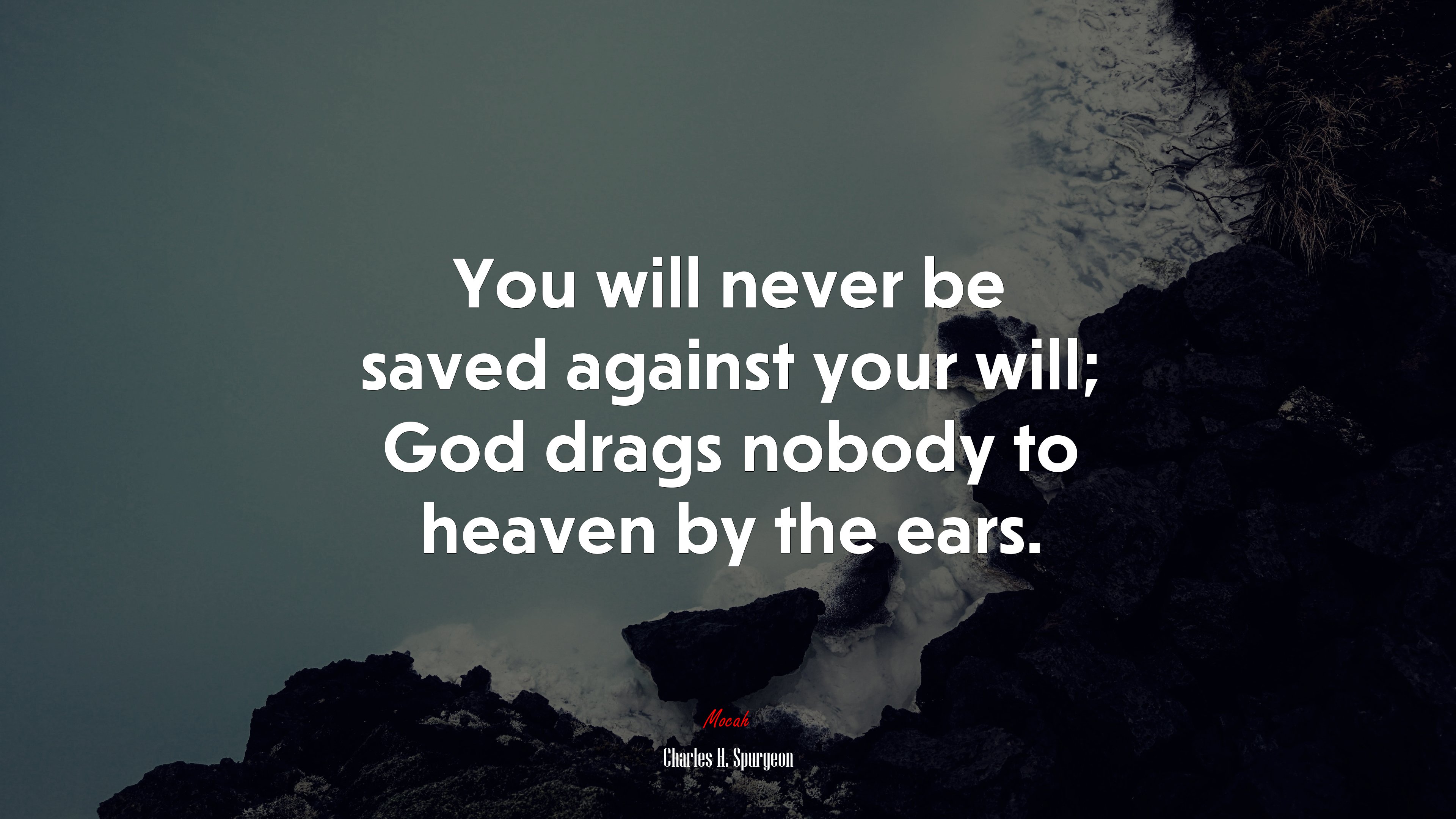 You will never be saved against your will; God drags nobody to heaven by the ears. | Charles H. Spurgeon quote HD Wallpaper