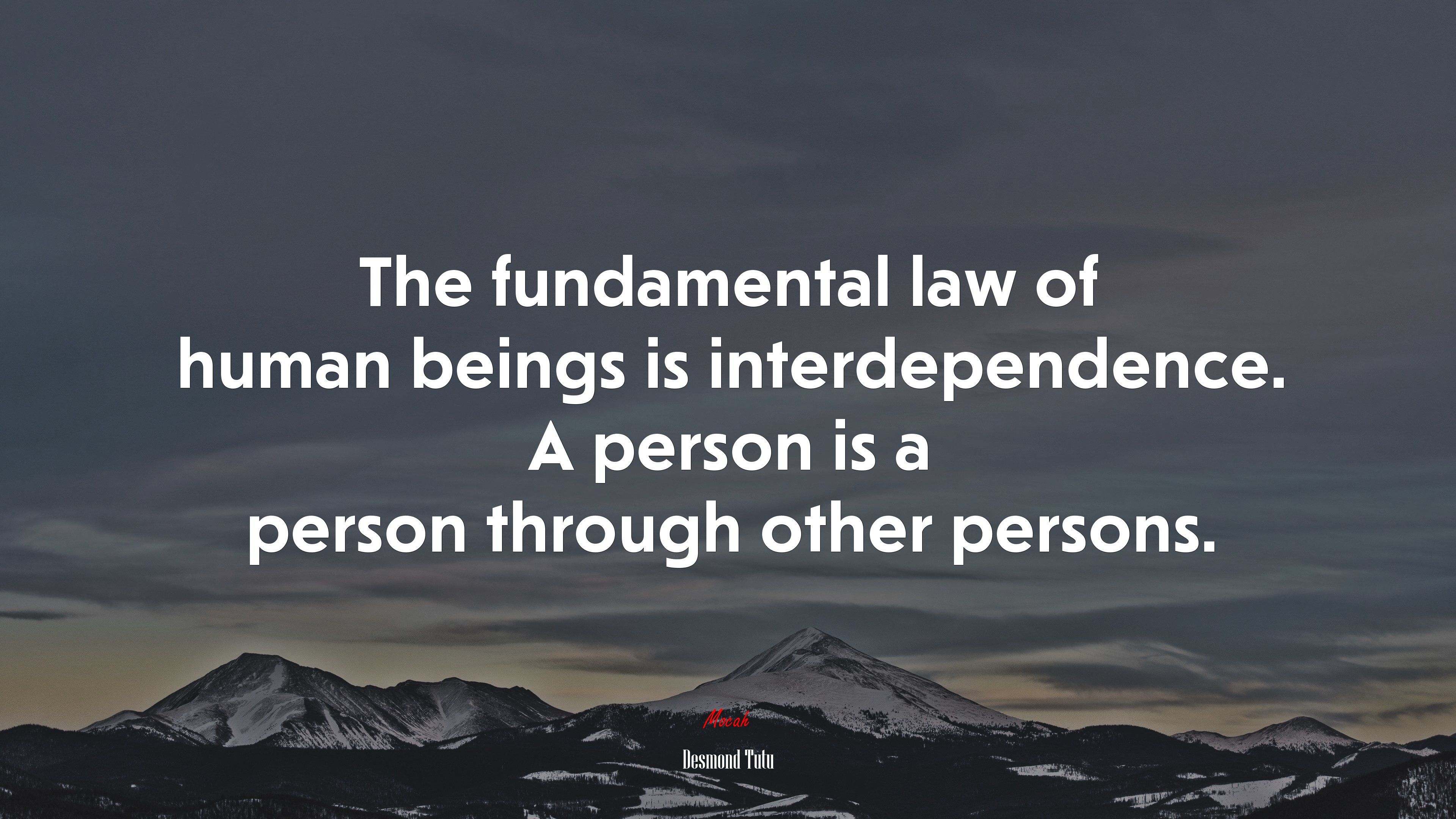 The fundamental law of human beings is interdependence. A person is a person through other persons. | Desmond Tutu quote HD Wallpaper