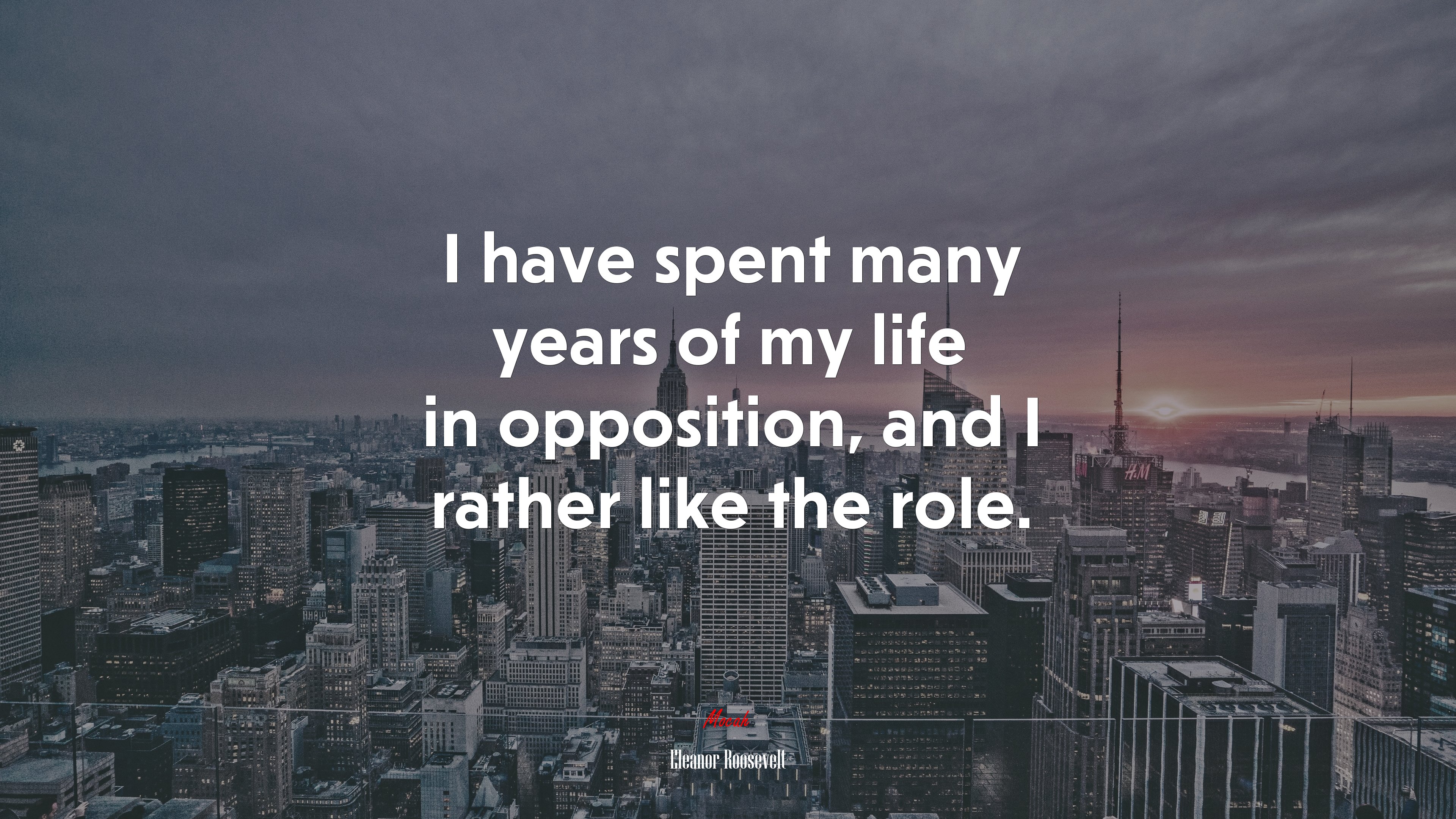 I have spent many years of my life in opposition, and I rather like the role. | Eleanor Roosevelt quote HD Wallpaper