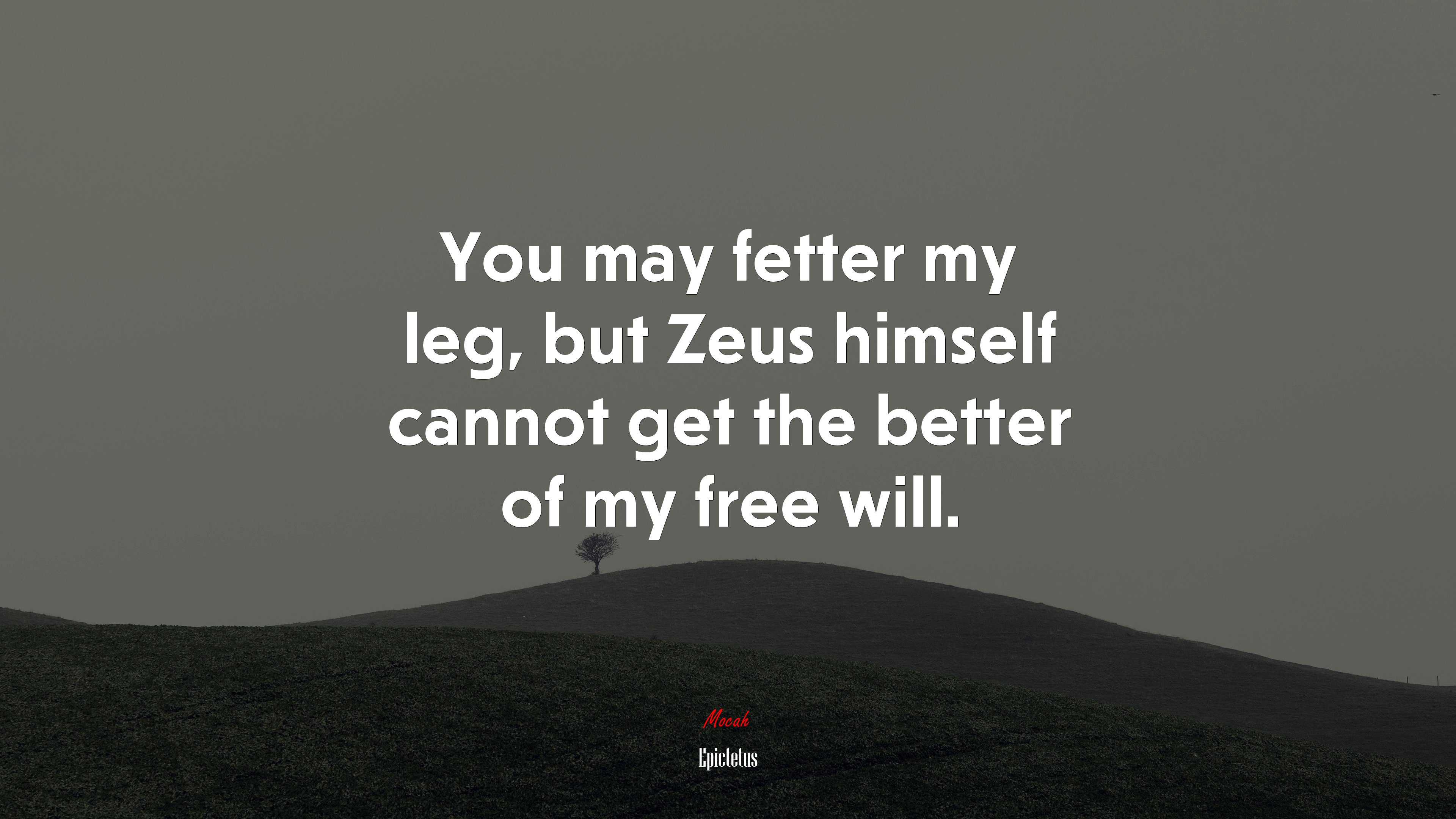 You may fetter my leg, but Zeus himself cannot get the better of my free will. | Epictetus quote HD Wallpaper